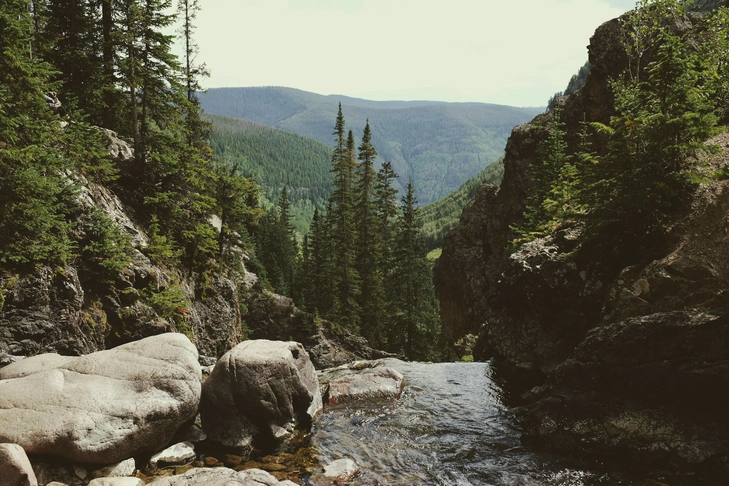 A scenic view of a mountain landscape with a river flowing through rocky terrain, dense evergreen trees, and distant mountain ridges under a light sky.