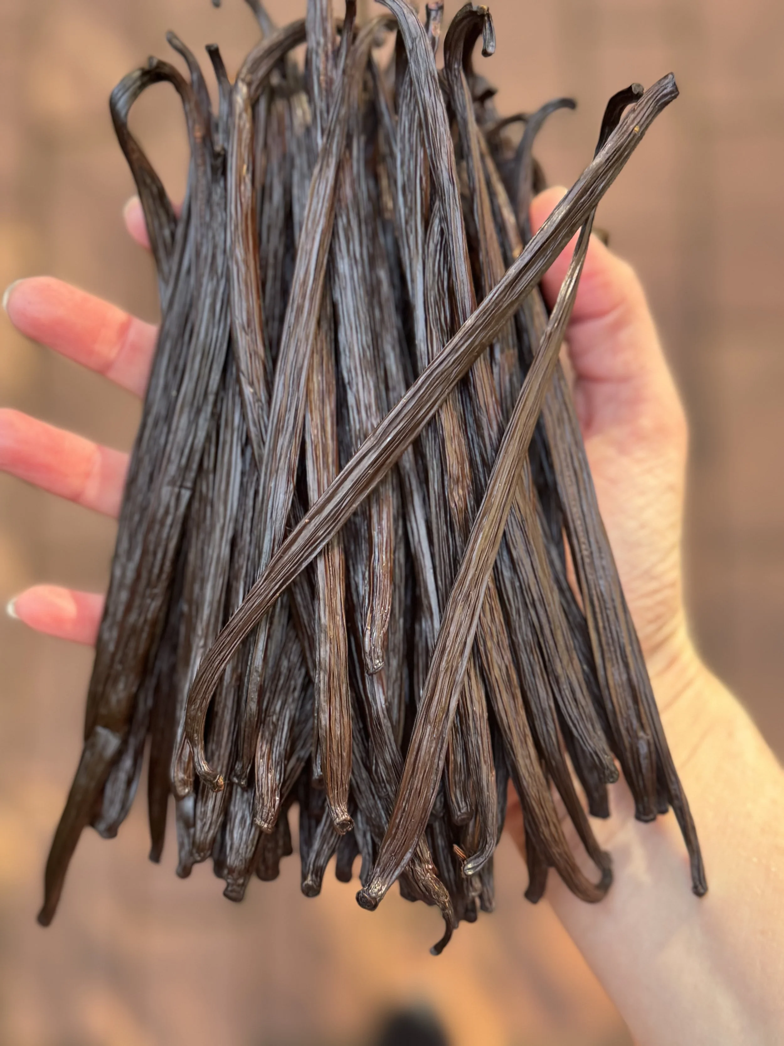 A - Grade Vanilla Beans — Woopen Creek Vanilla, Australia