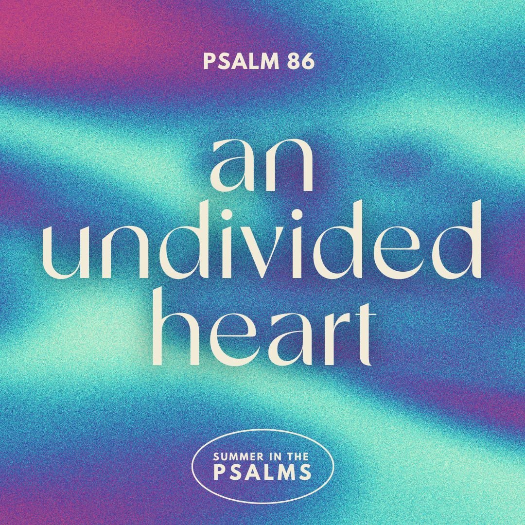 An Undivided Heart