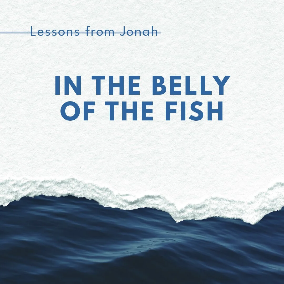 In The Belly Of The Fish