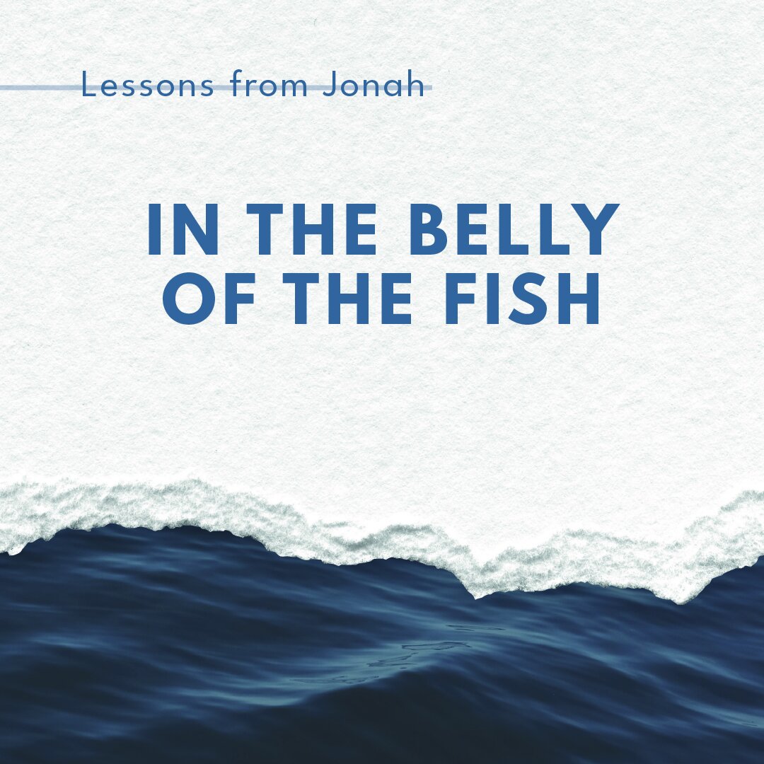 In The Belly Of The Fish