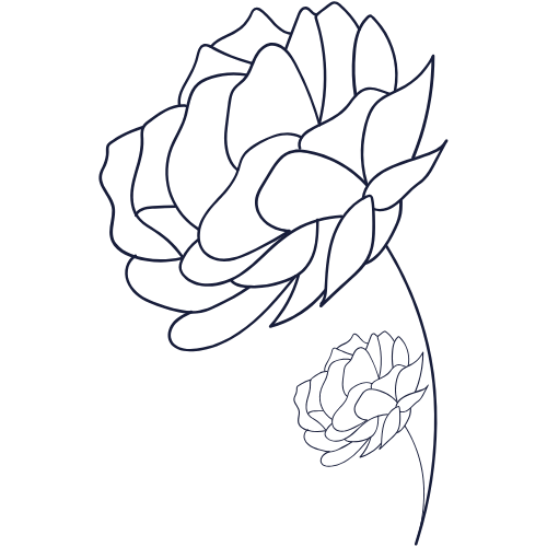 Outline drawing of two roses, one large and one small, with a stem and leaves.