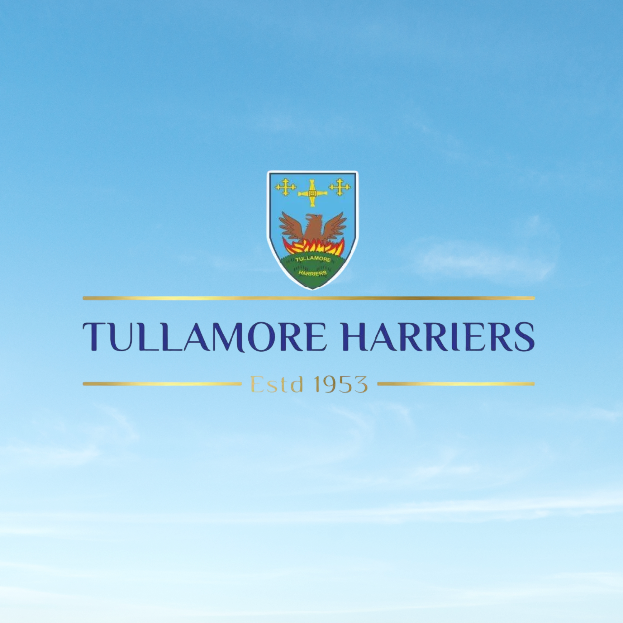 Tullamore Harriers Report - 8th December 2025