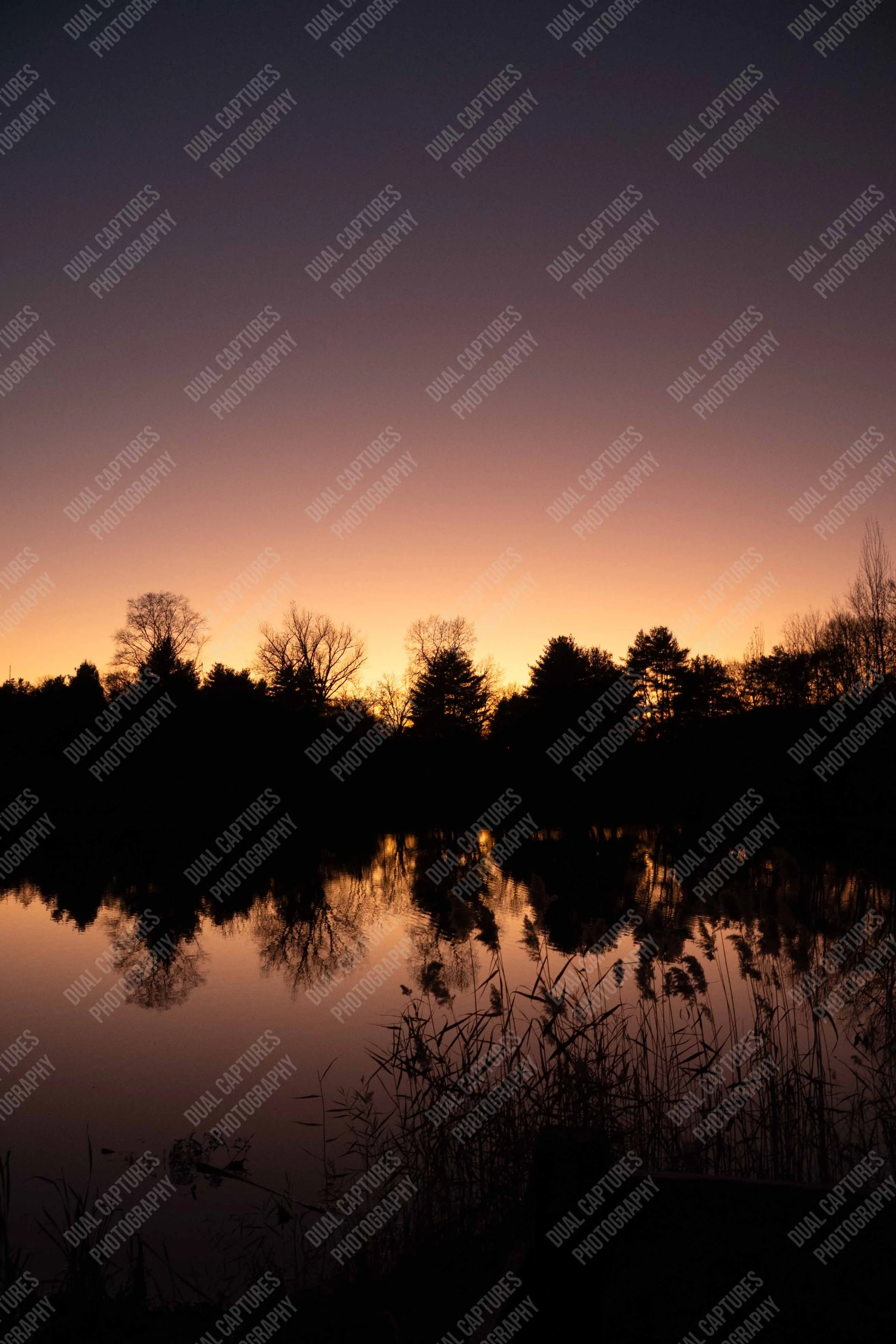 Image of a sunset as the trees devolve into darkness, with a perfect reflection of the trees and sky in the lake below