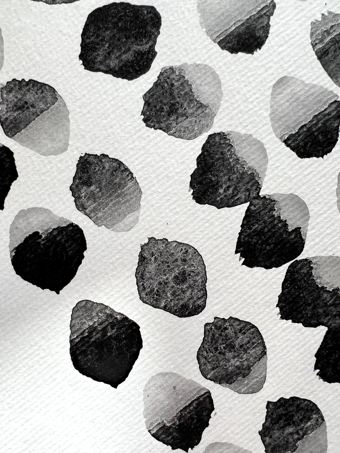 An Ink Journey

There is nothing better than foraging and turning it into luscious ink.  That is exactly what I did to the grapevine growing outside the studio window.  Over the course of six months I cut the vines back in late autumn and dried them 