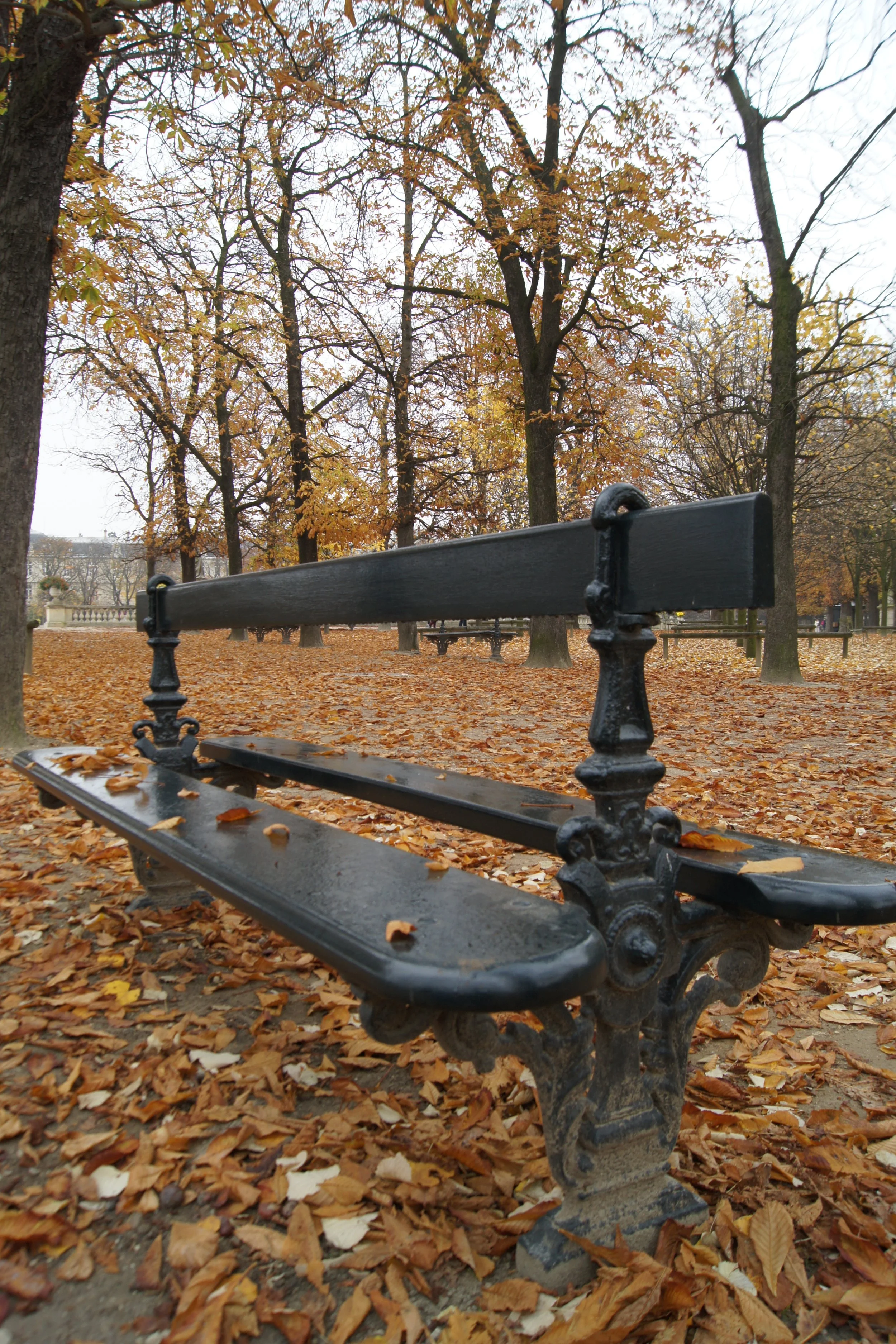 DSC03214.JPG