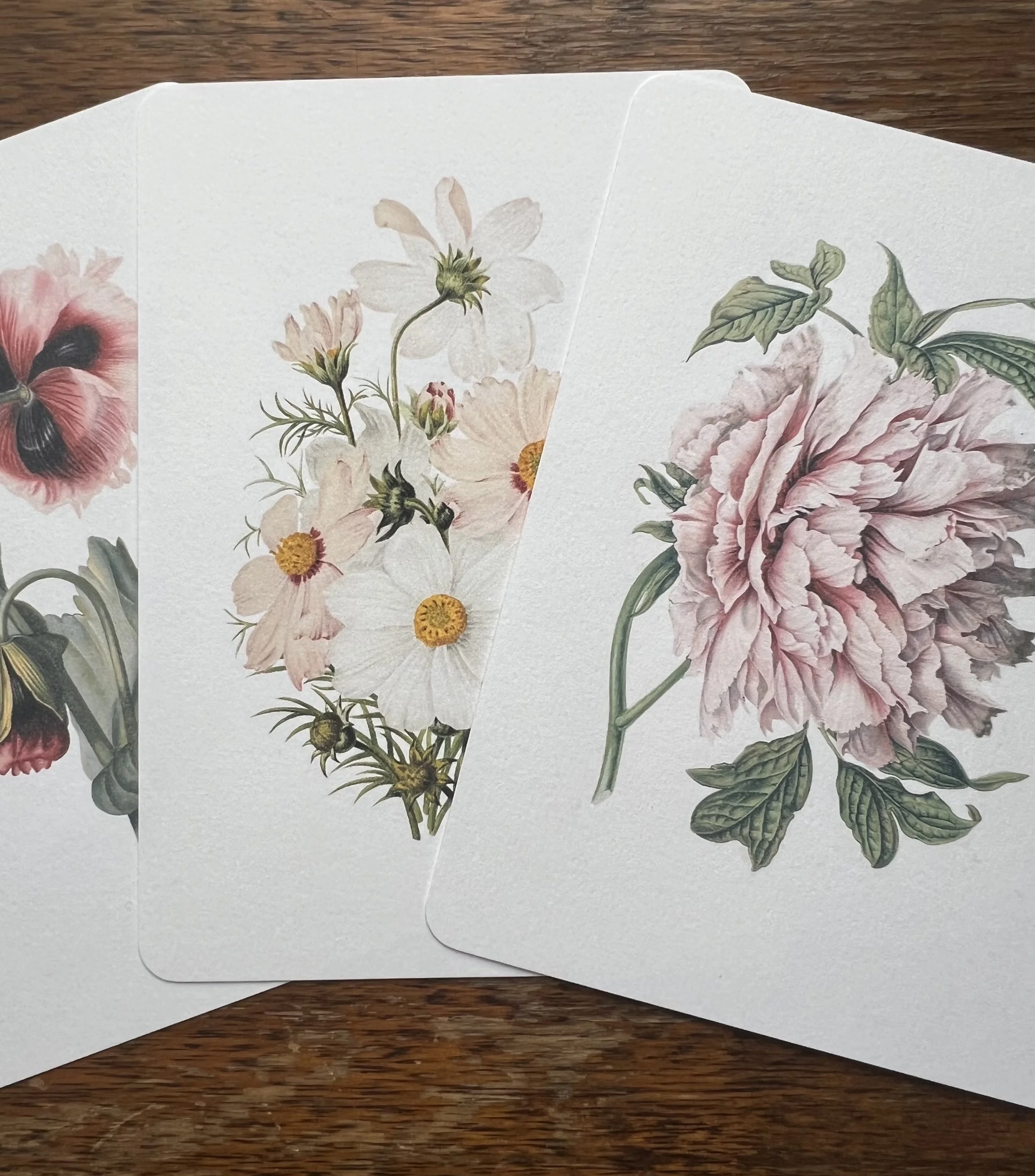 Floral Cards Pink Pack
