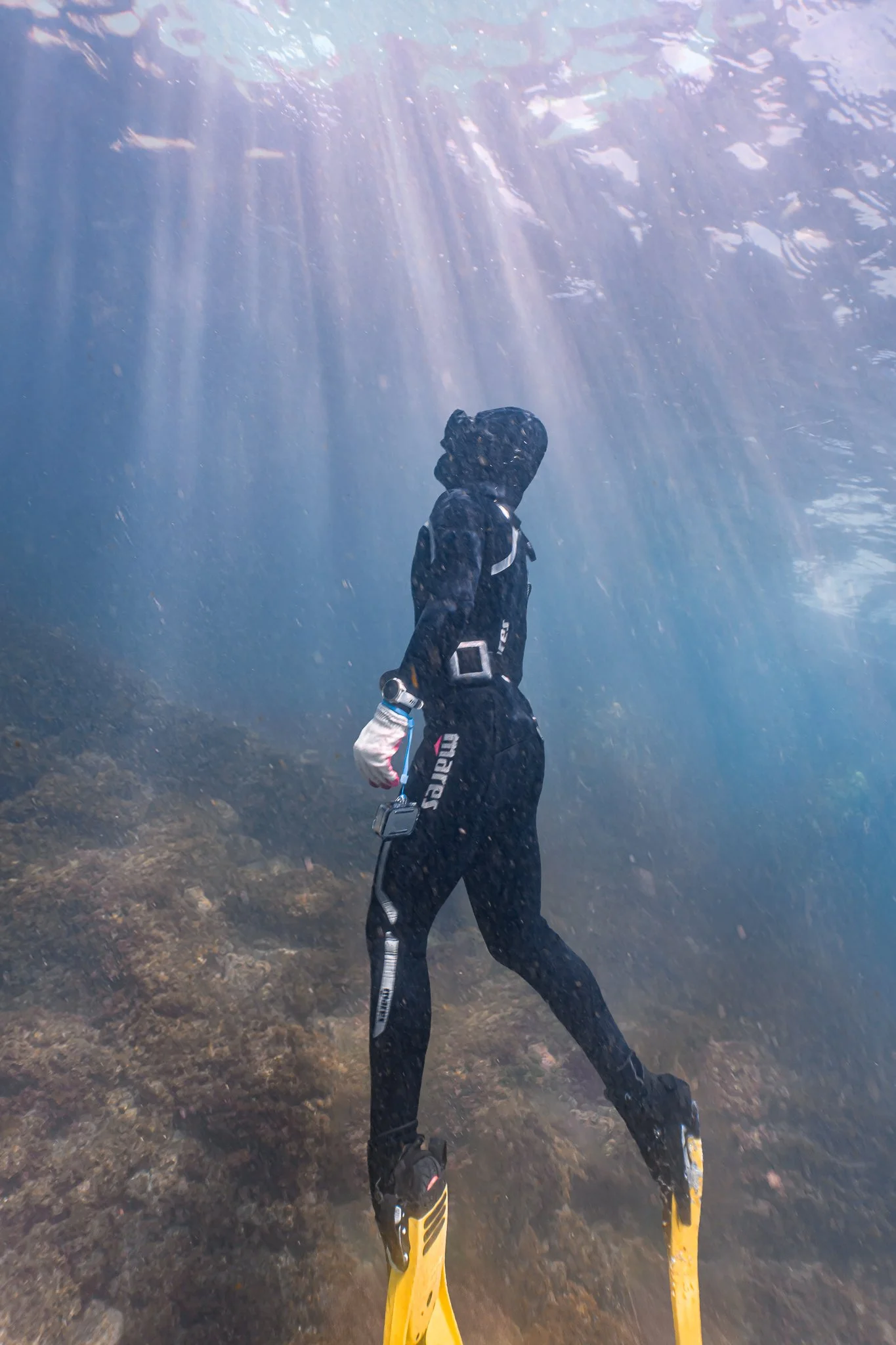 A person in a wetsuit and fins snorkeling underwater, with sunlight filtering through the water from above.