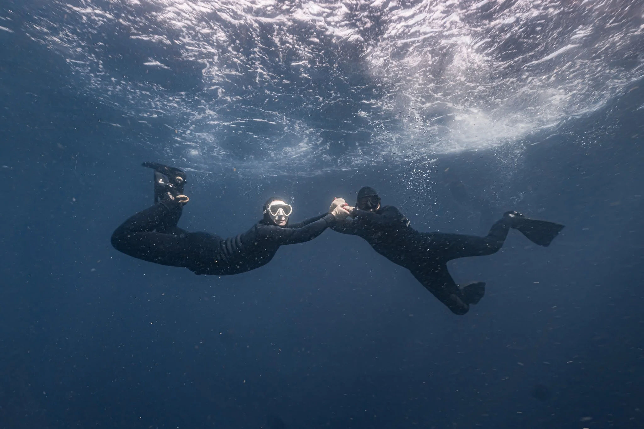 Two divers in black wetsuits holding hands underwater, wearing masks and fins.