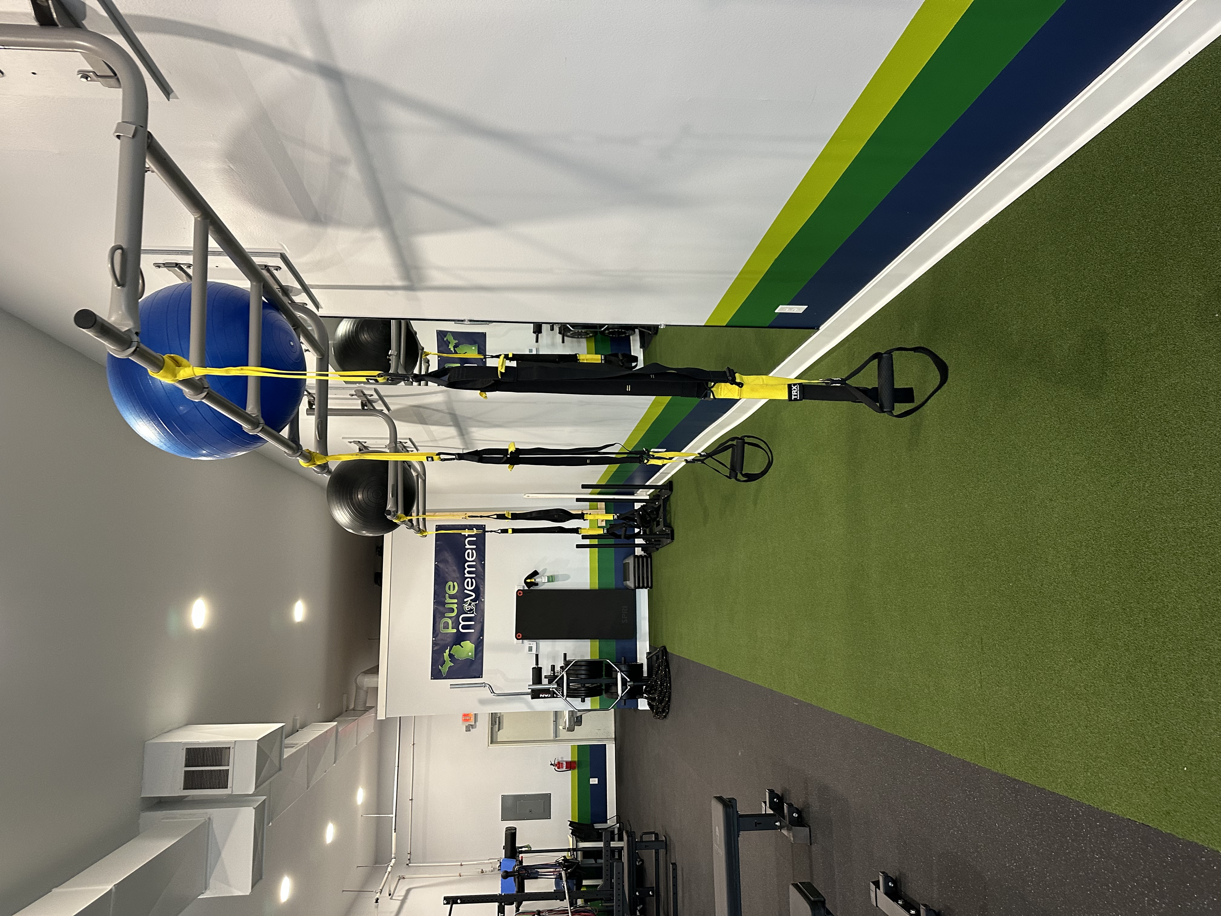 Pure Movement in Portage, MI TRX training