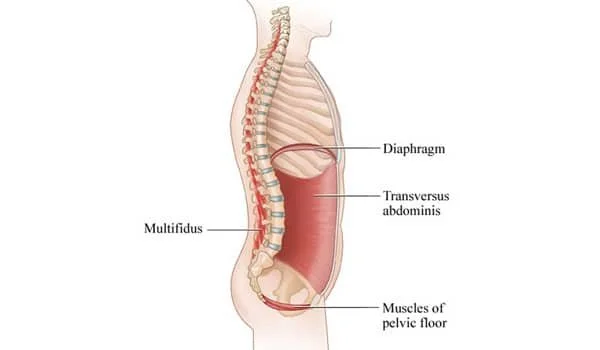 Core and pelvic floor training for Portage Michigan post-menopausal women.