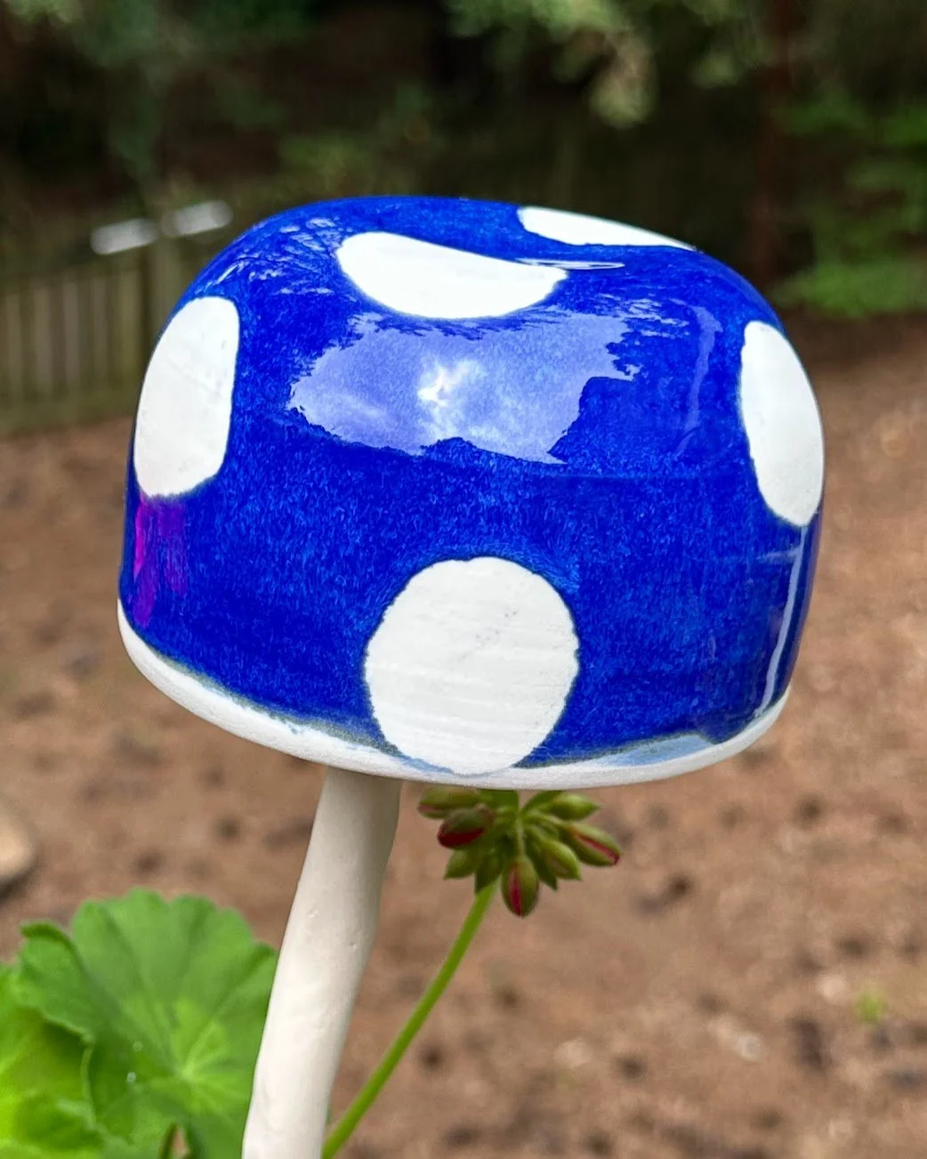 IMG_4782.jpg