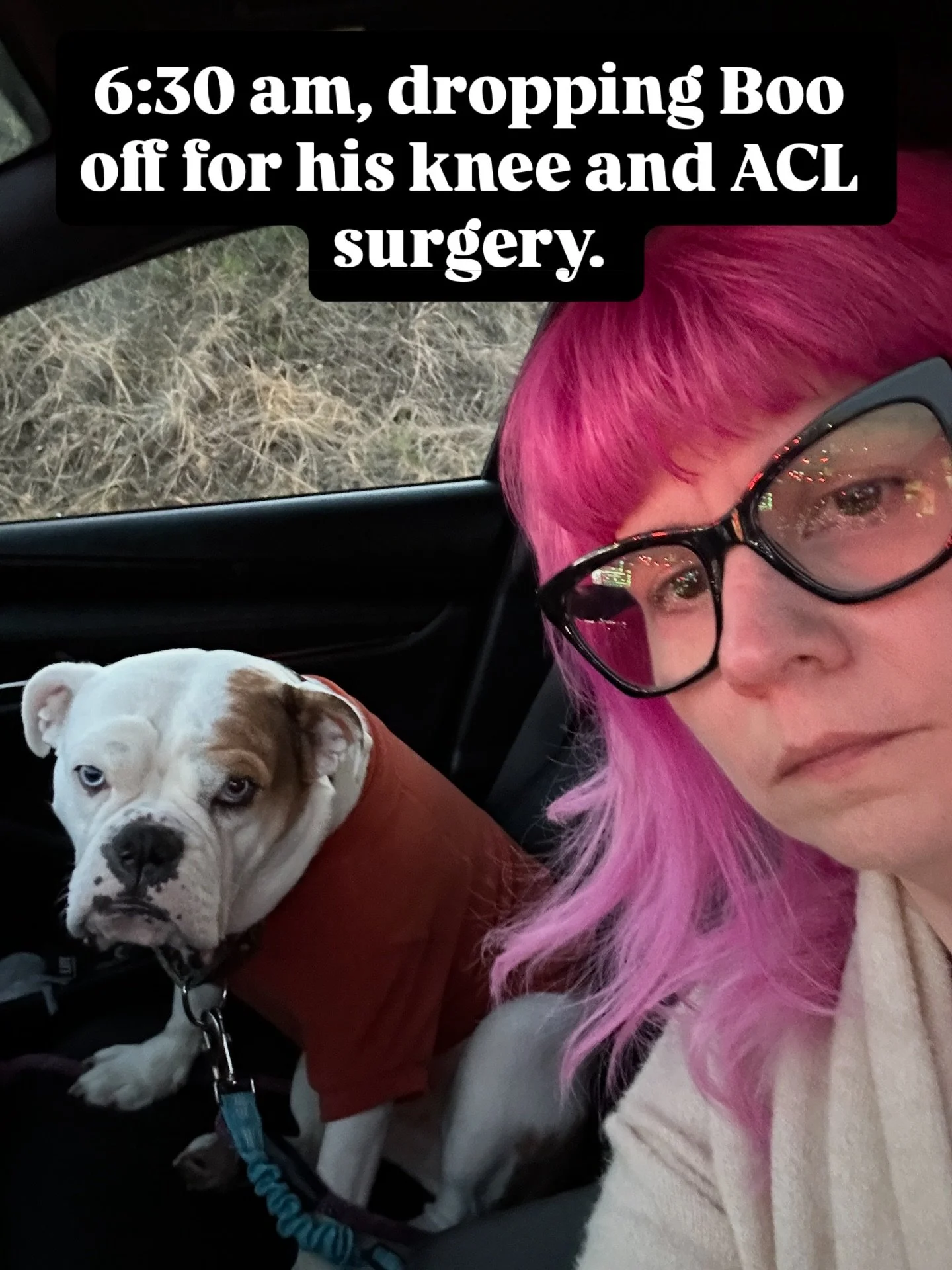 Boo is getting surgery on his send ACL and knee. I&rsquo;m going to be stressing and missing him til I get him back tomorrow. #adoptdontshop❤️ #englishbulldogmoments