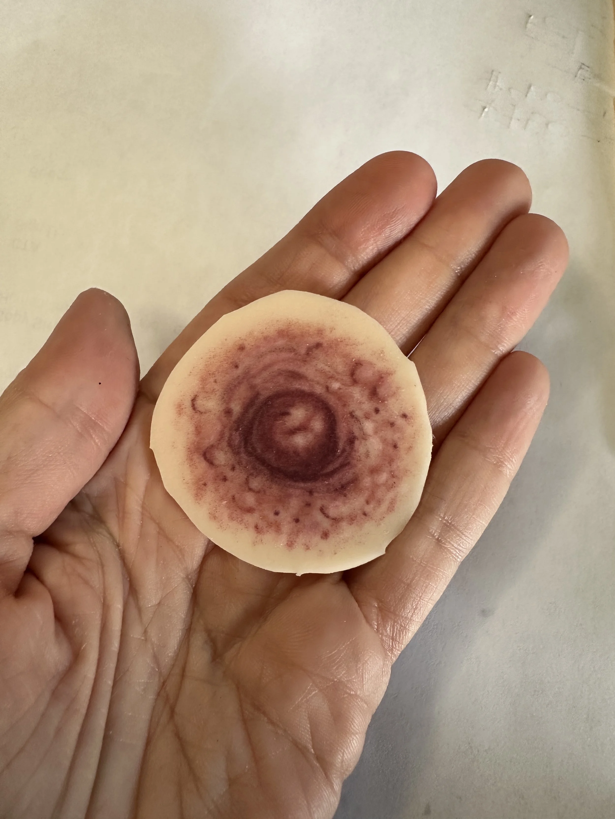 practivenip_2 - natasha fialkov.JPG