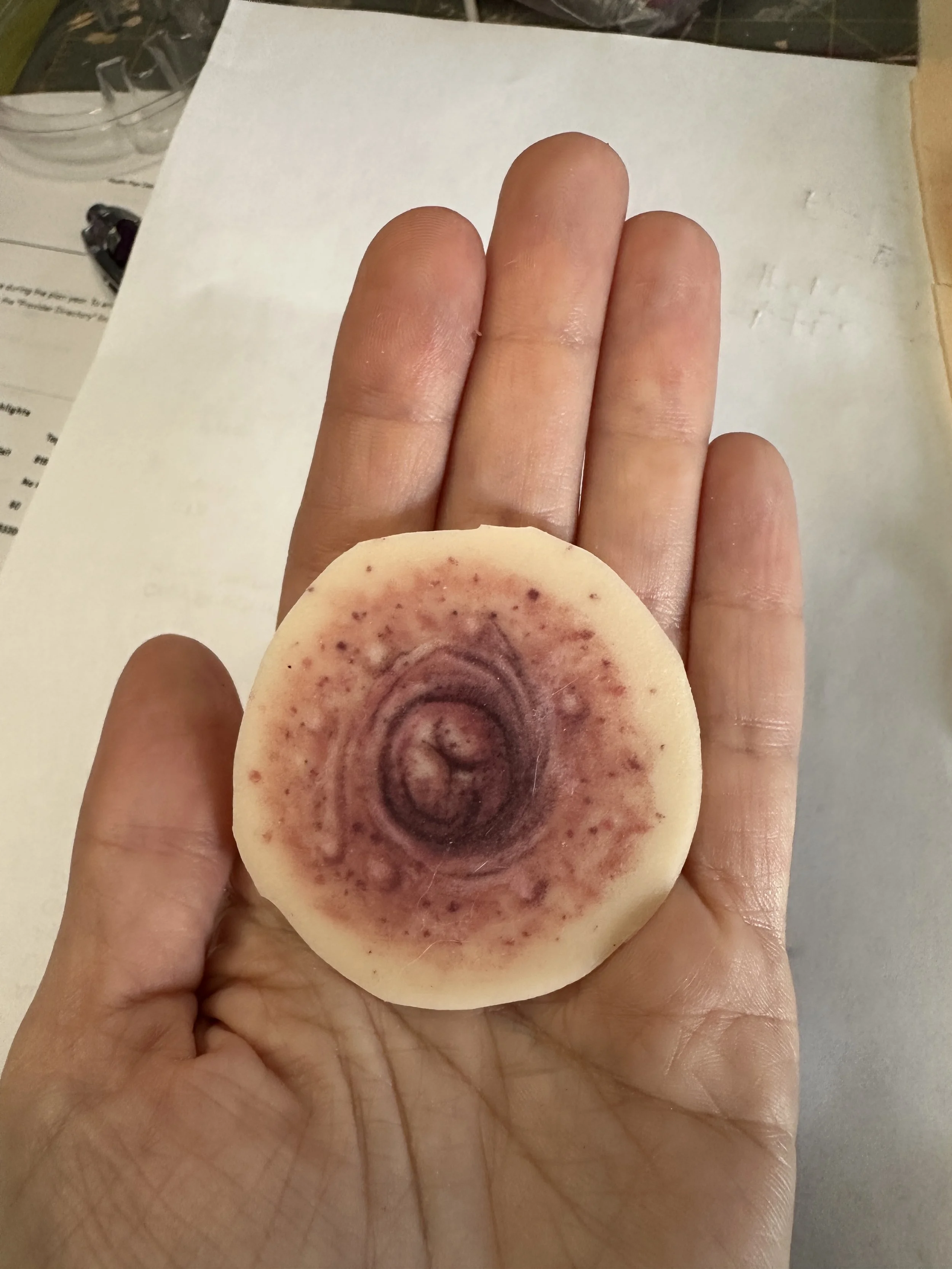 practicenip_1 - natasha fialkov.JPG