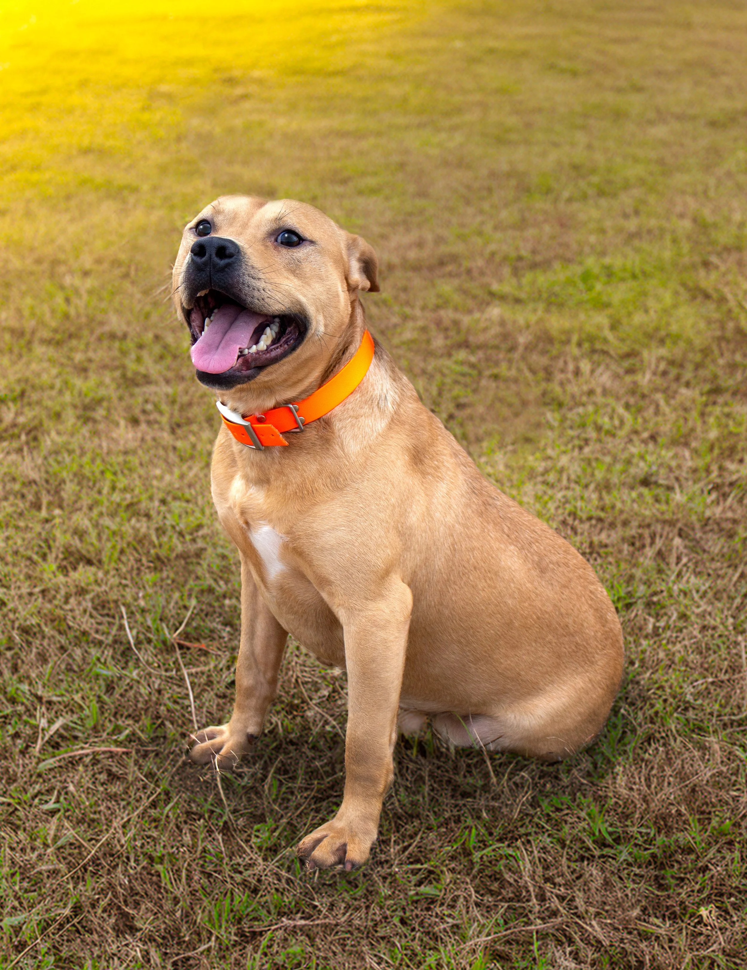 Bennett Portrait.jpg