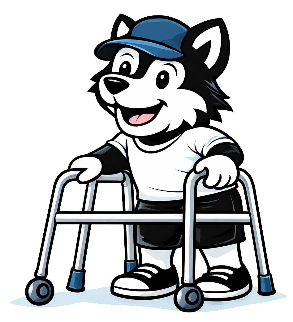 A cartoon husky dog with black and white fur, wearing a blue baseball cap, white t-shirt, black shorts, and sneakers, is using a walker.