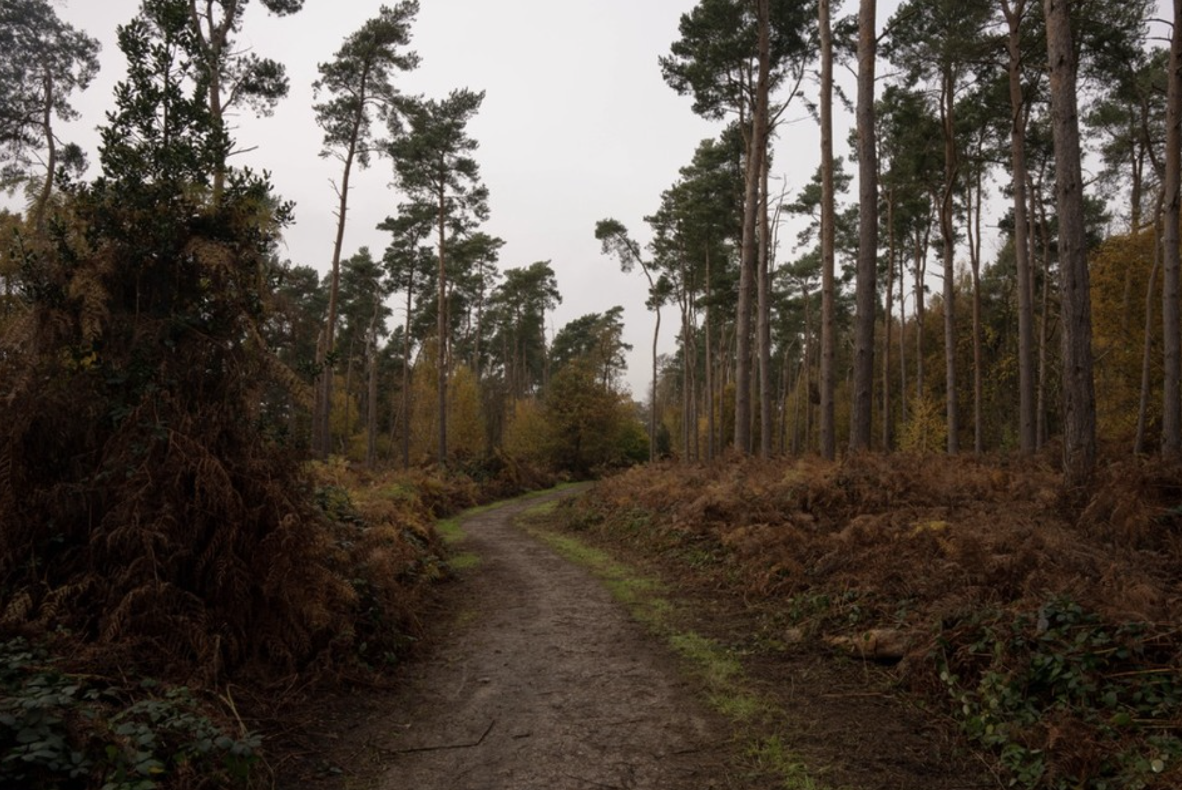 Screenshot 2025-06-09 at 15.41.23.png