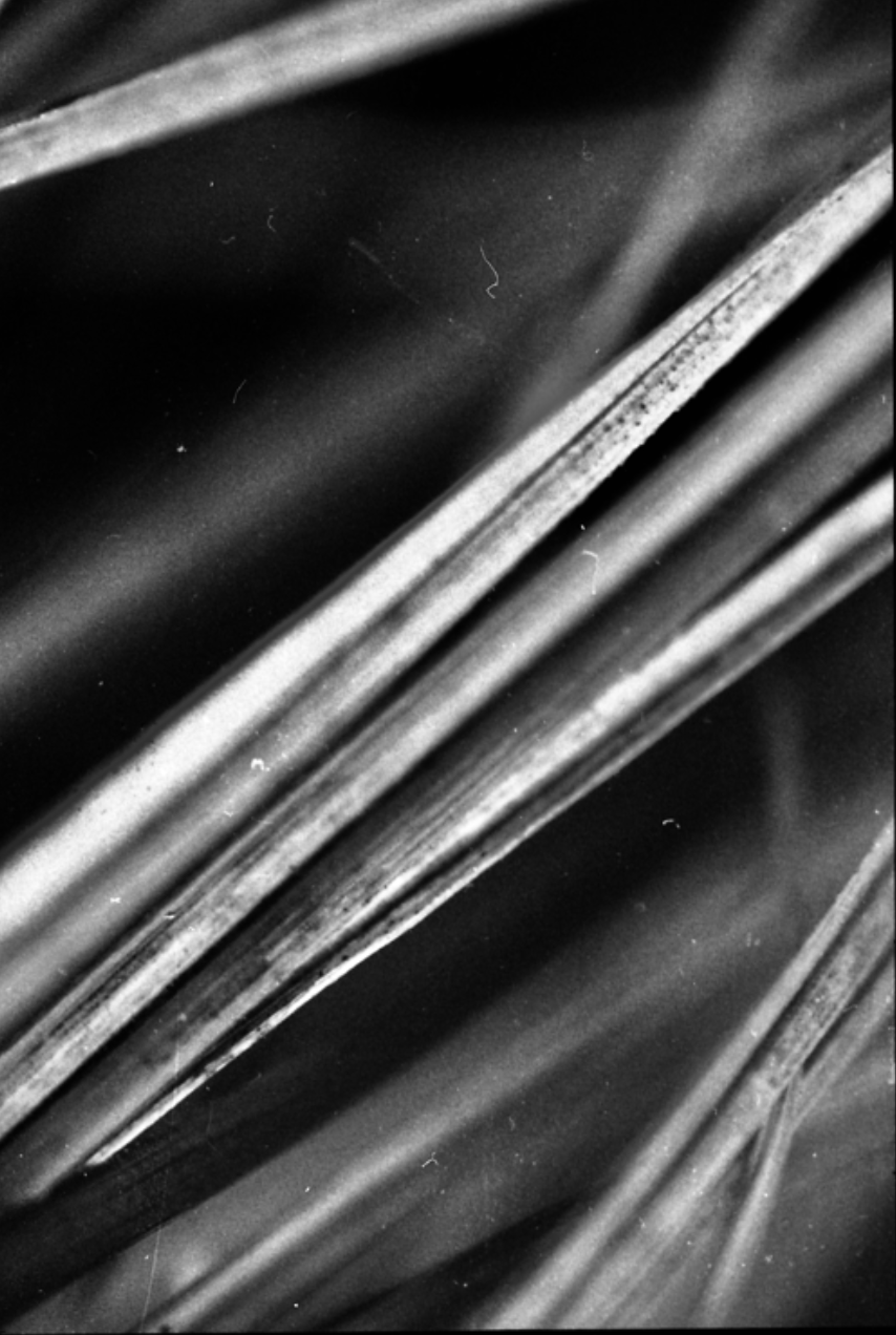 screenshot-2025-03-16-at-15-04-21_orig.png