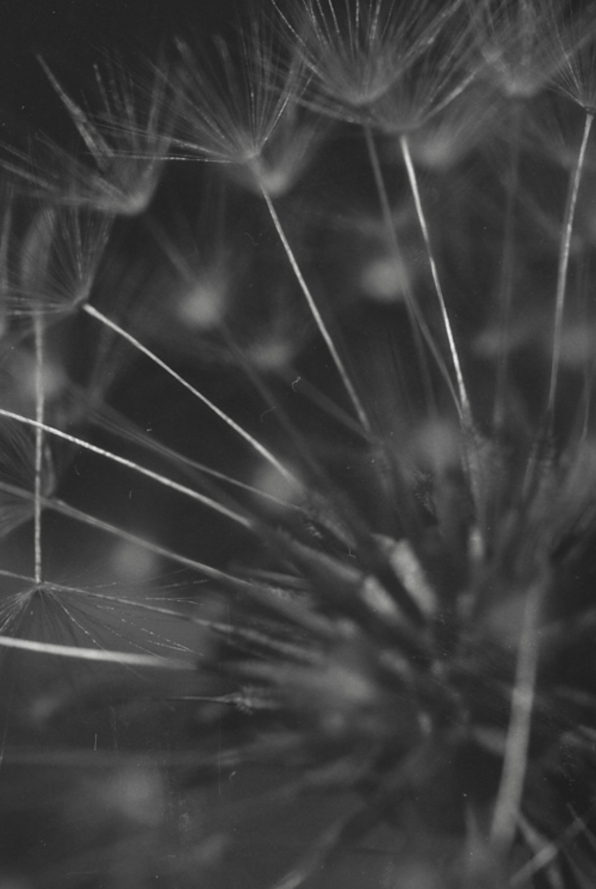 screenshot-2025-03-16-at-15-04-26_orig.png