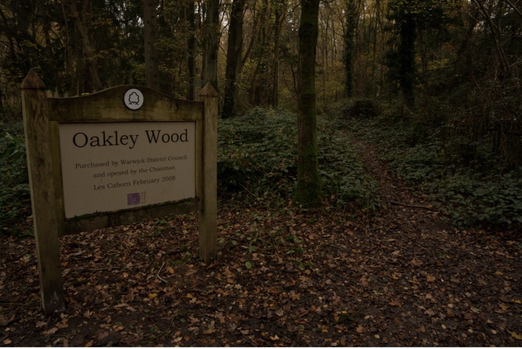 Screenshot 2025-06-09 at 15.41.28.png