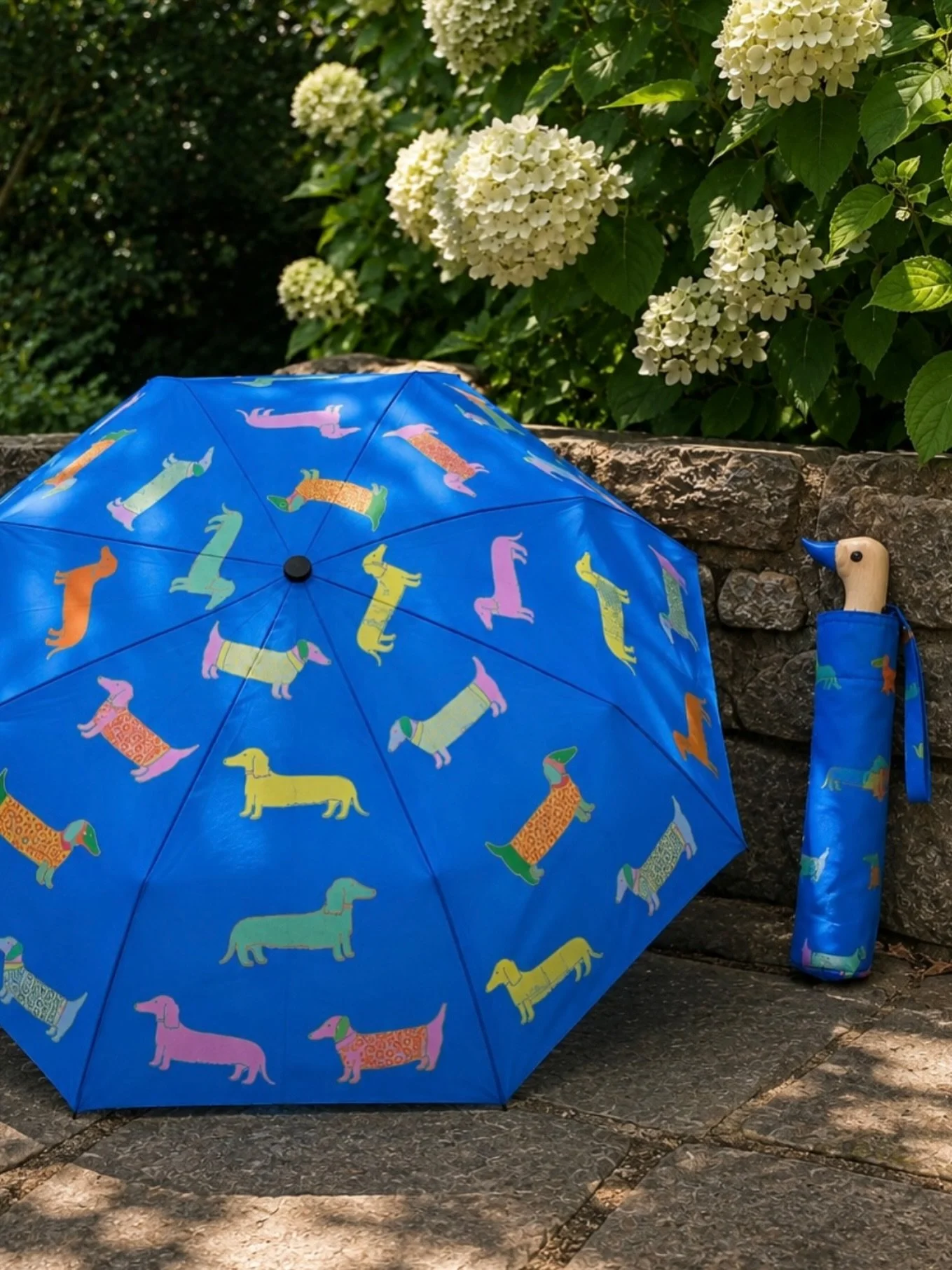 It&rsquo;s National Dog Day!🐾 And we&rsquo;re celebrating the Zest way with the cutest pups we ever did see!
Rain or shine, this dog-covered umbrella is guaranteed to make your day a little brighter!!
#NationalDogDay #DressedInZest #zestclothingandc