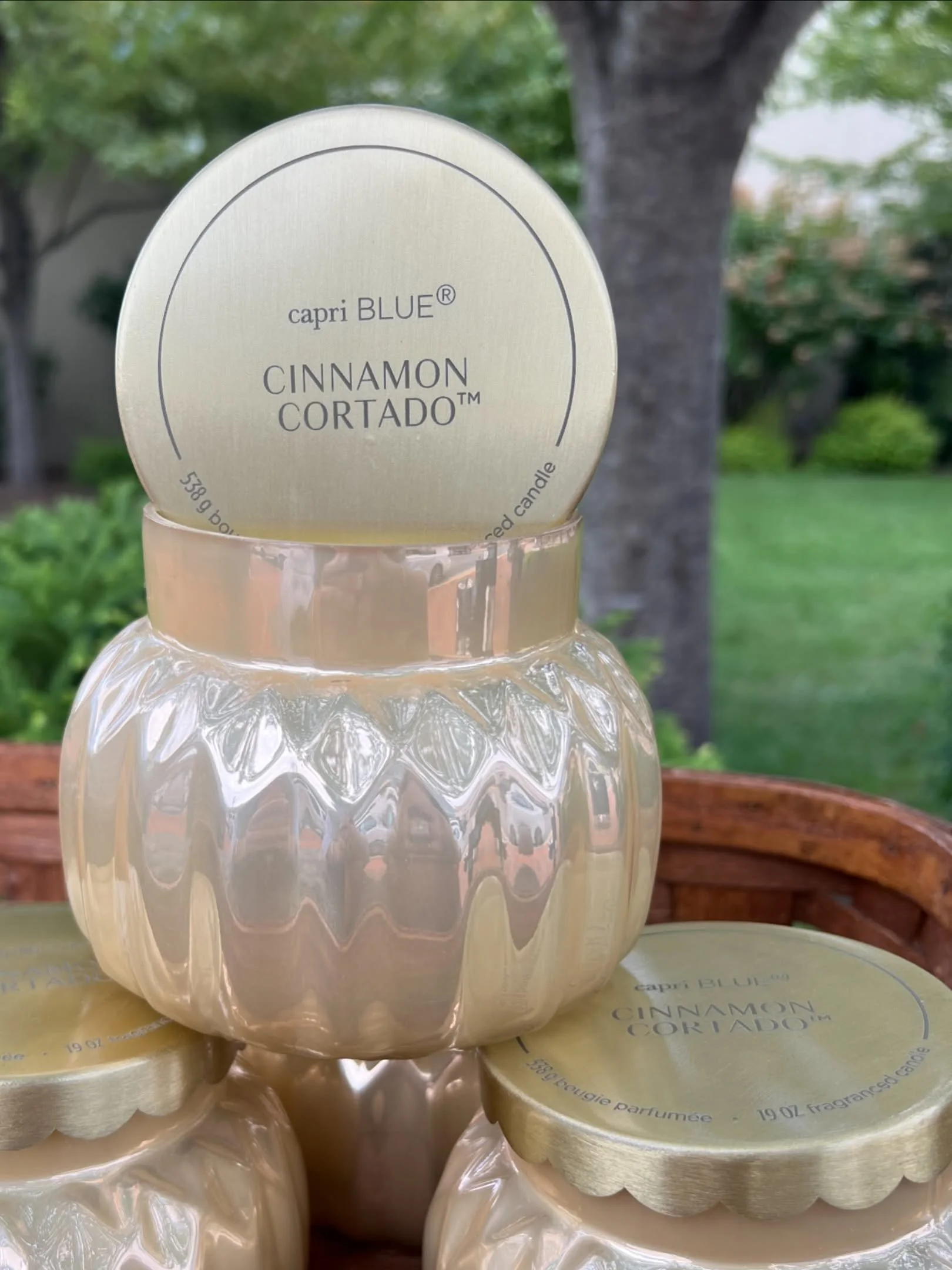 Consider this your sign to light the fall candles 🍂 Let us introduce you to one of our favorites, Cinnamon Cortado&hellip; a cozy blend of rich espresso, spiced cinnamon, warm milk &amp; smooth vanilla. Basically, your favorite fall coffee order in 