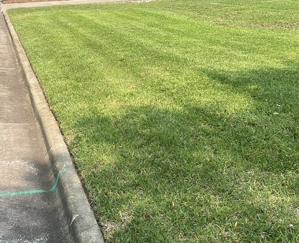 Screenshot 2025-06-09 at 1.49.03 PM.png