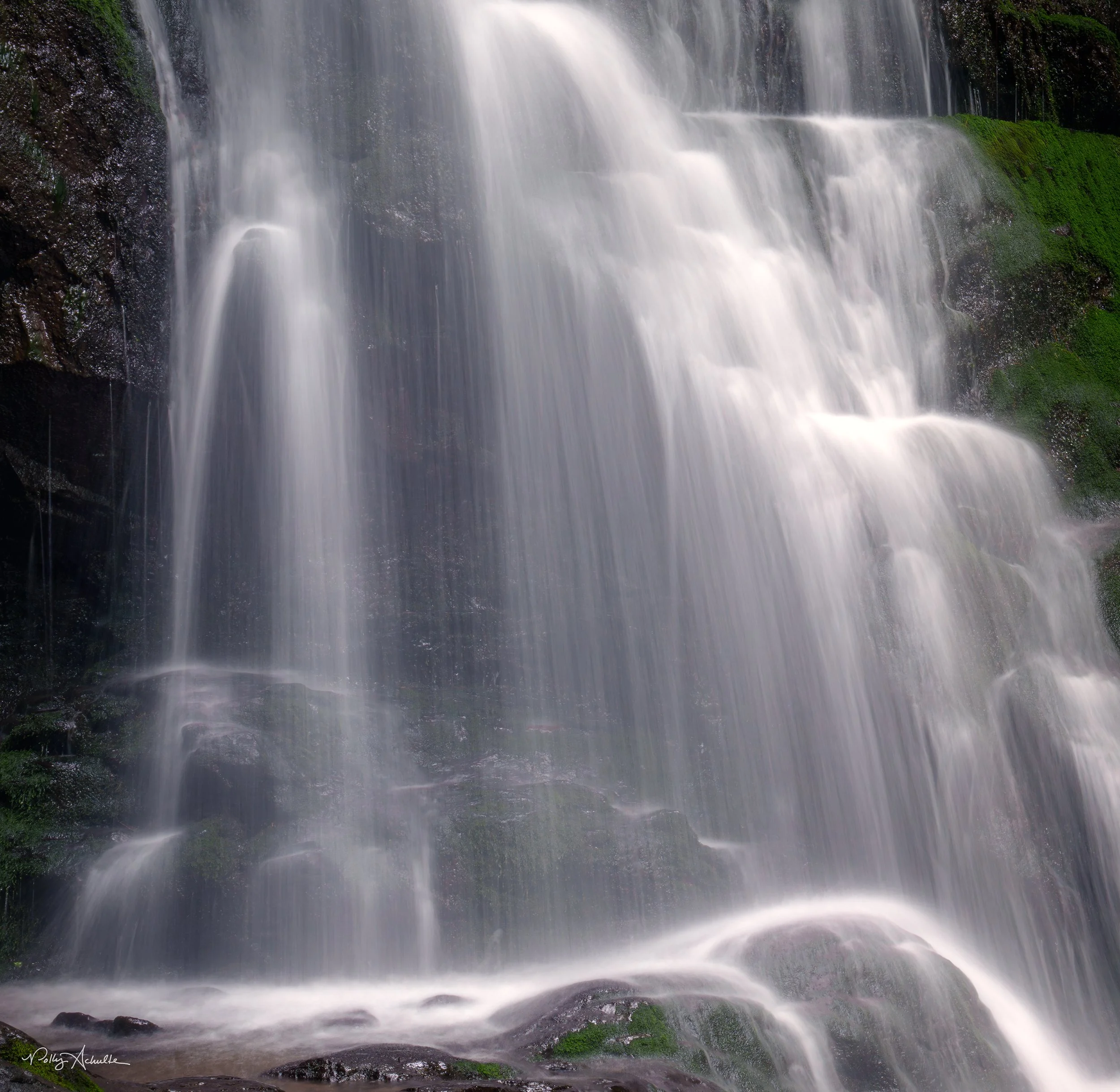 Spruce Falls Smoky Mountain National Park (2026)