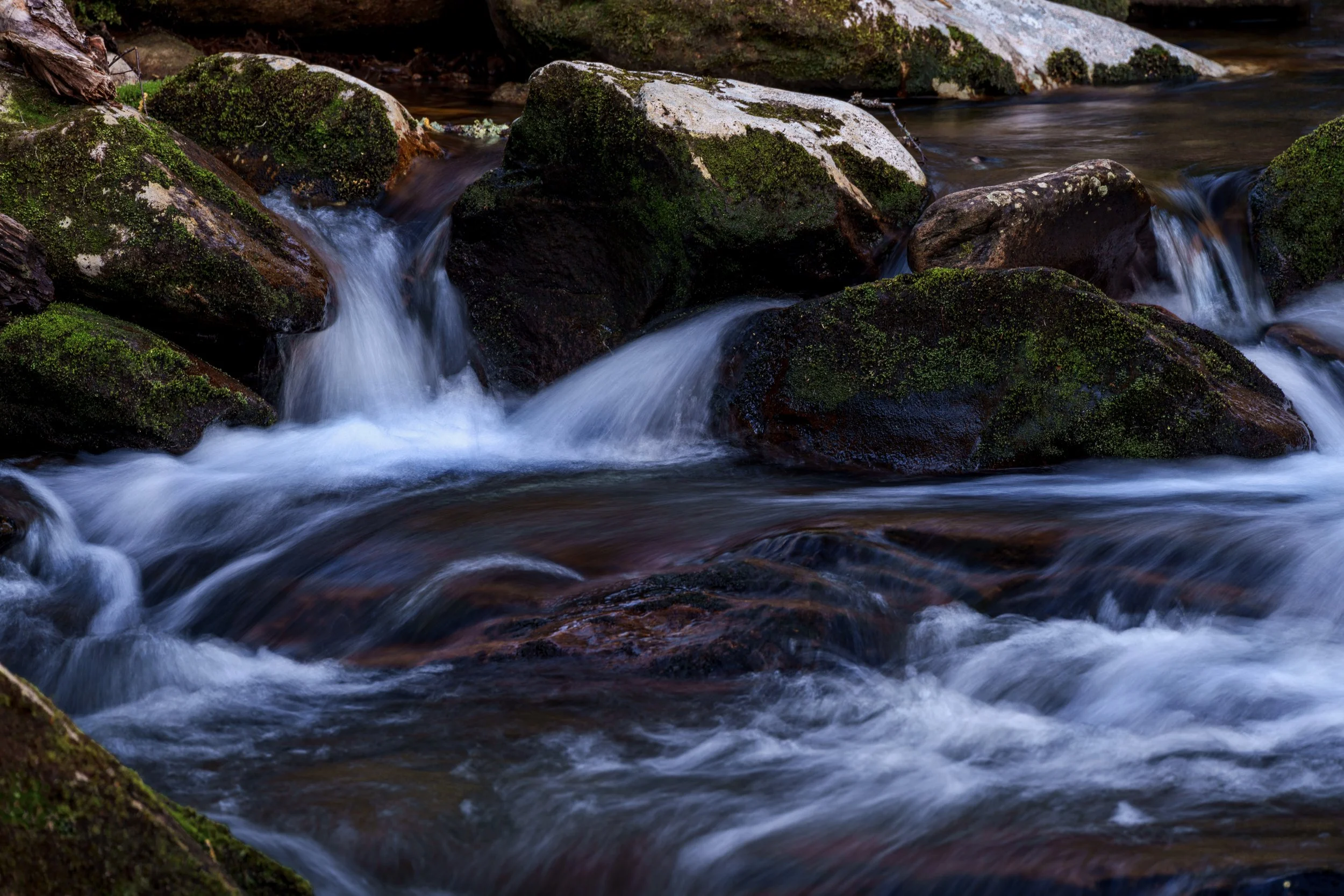 DSC06775-Edit.jpg