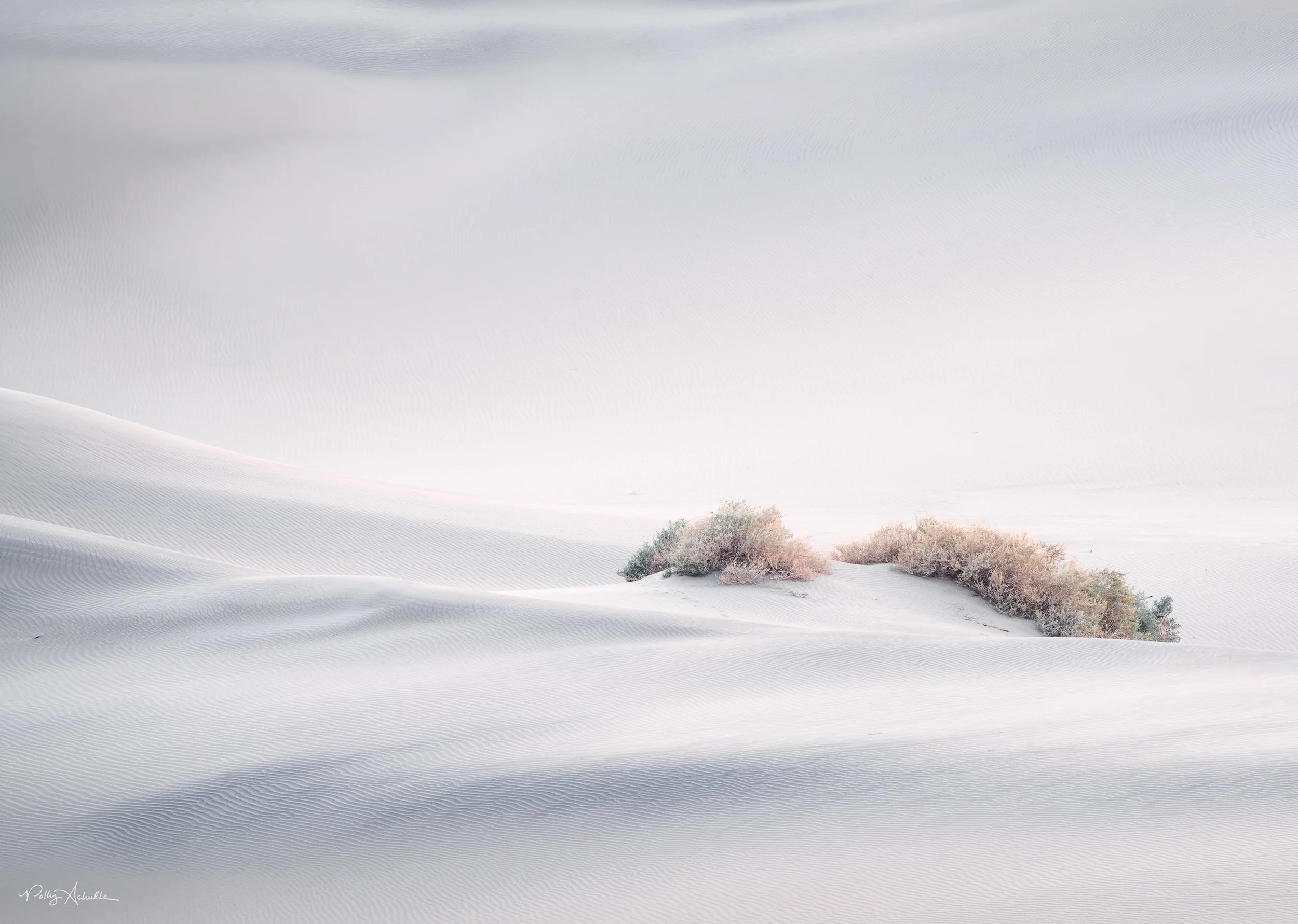 Ibex Death Valley National Park, CA (2025)
