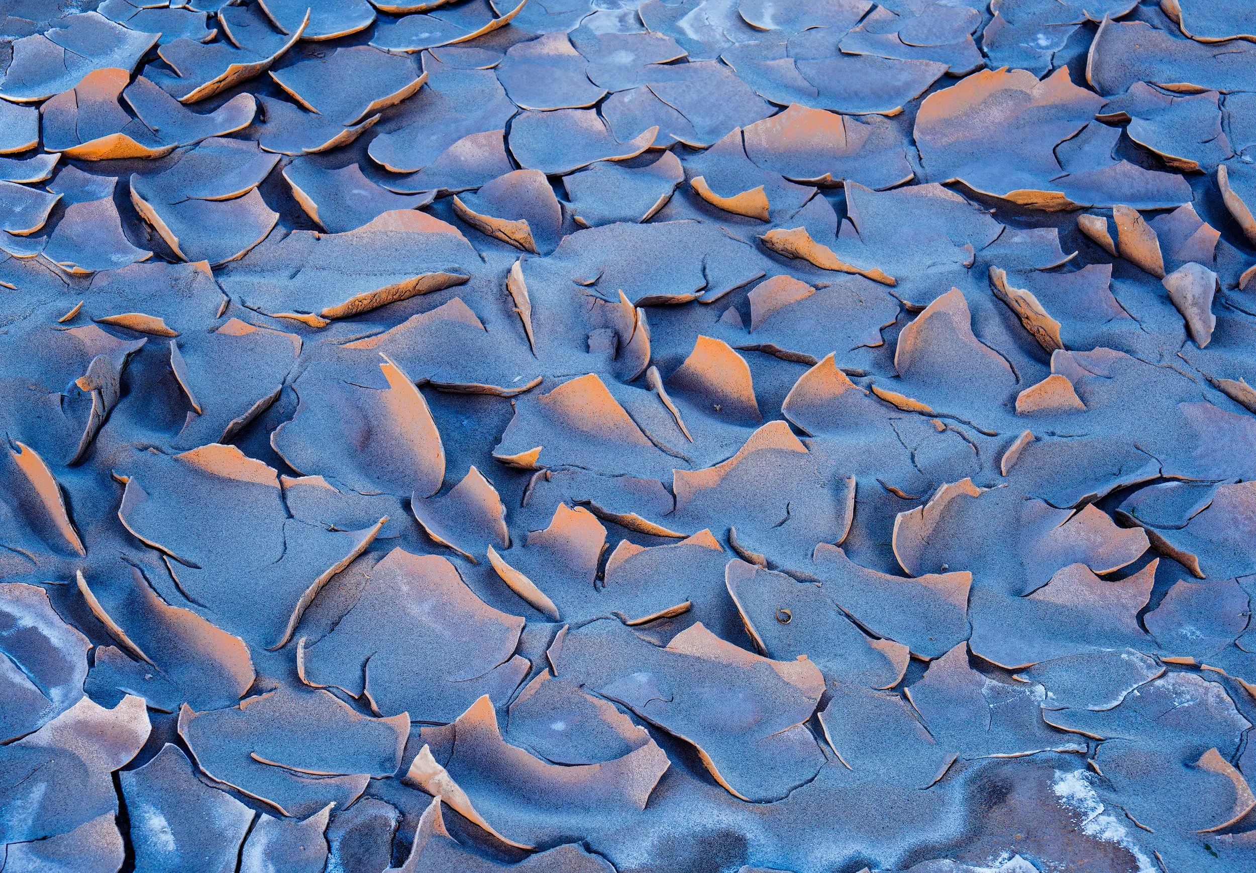 mud_curl-WEB.jpg