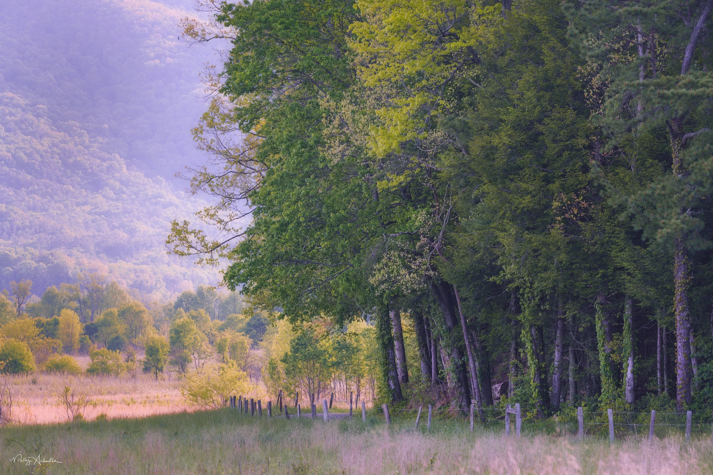 Cade's Cove Smoky Mountain National Park (2026)