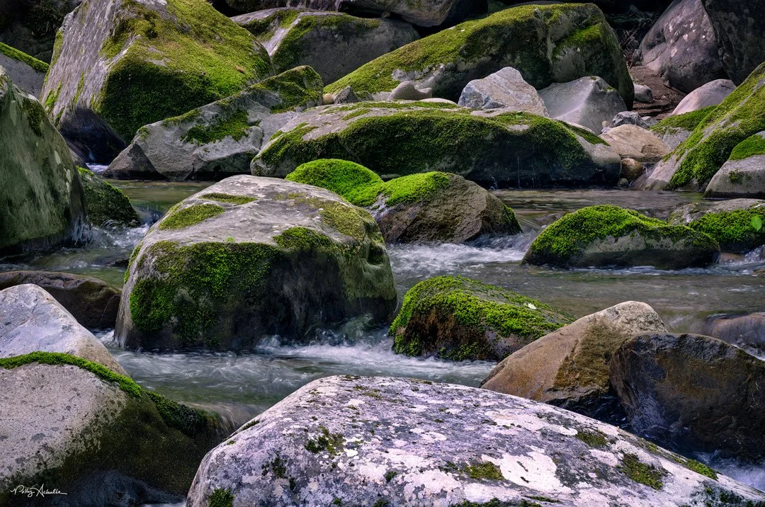 big_creek_rocks_up_close-WEB.jpg