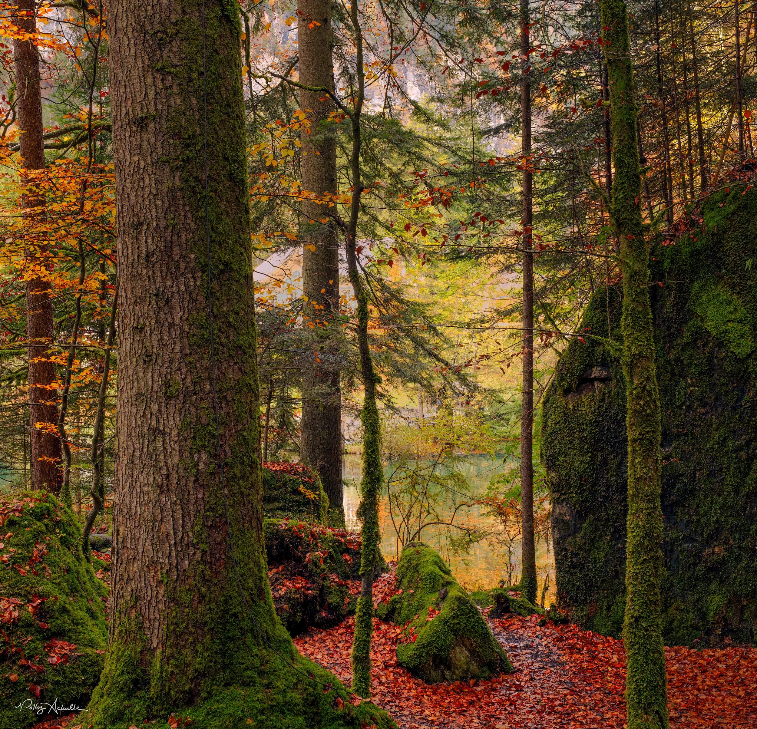 Lake Blausee Kandergrund, Switzerland (2025)