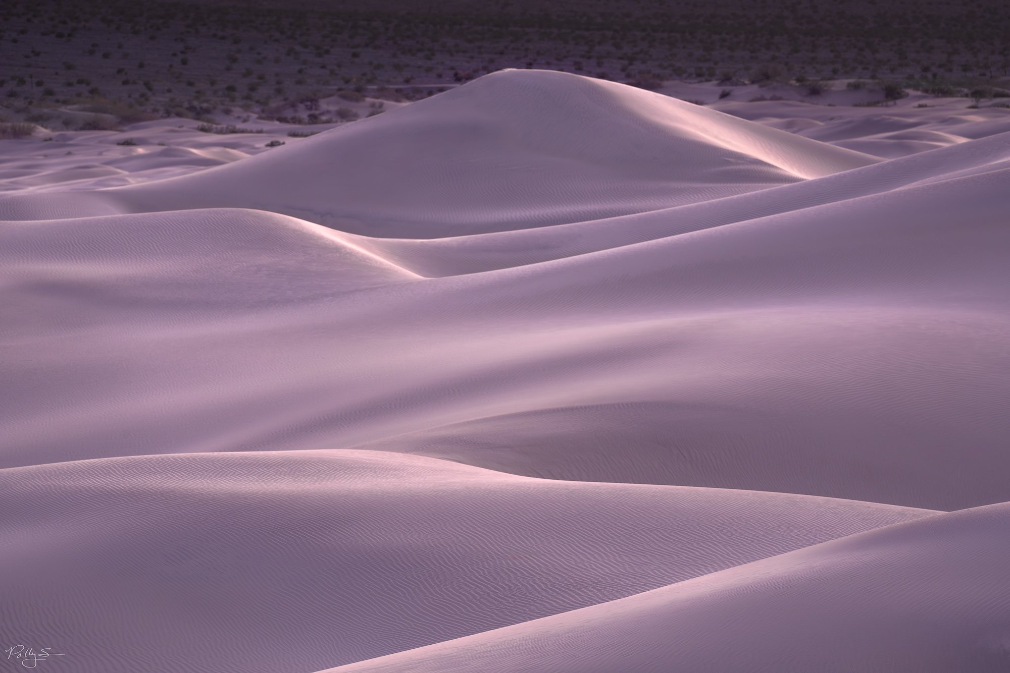 purple_twilight_dune-web.jpg