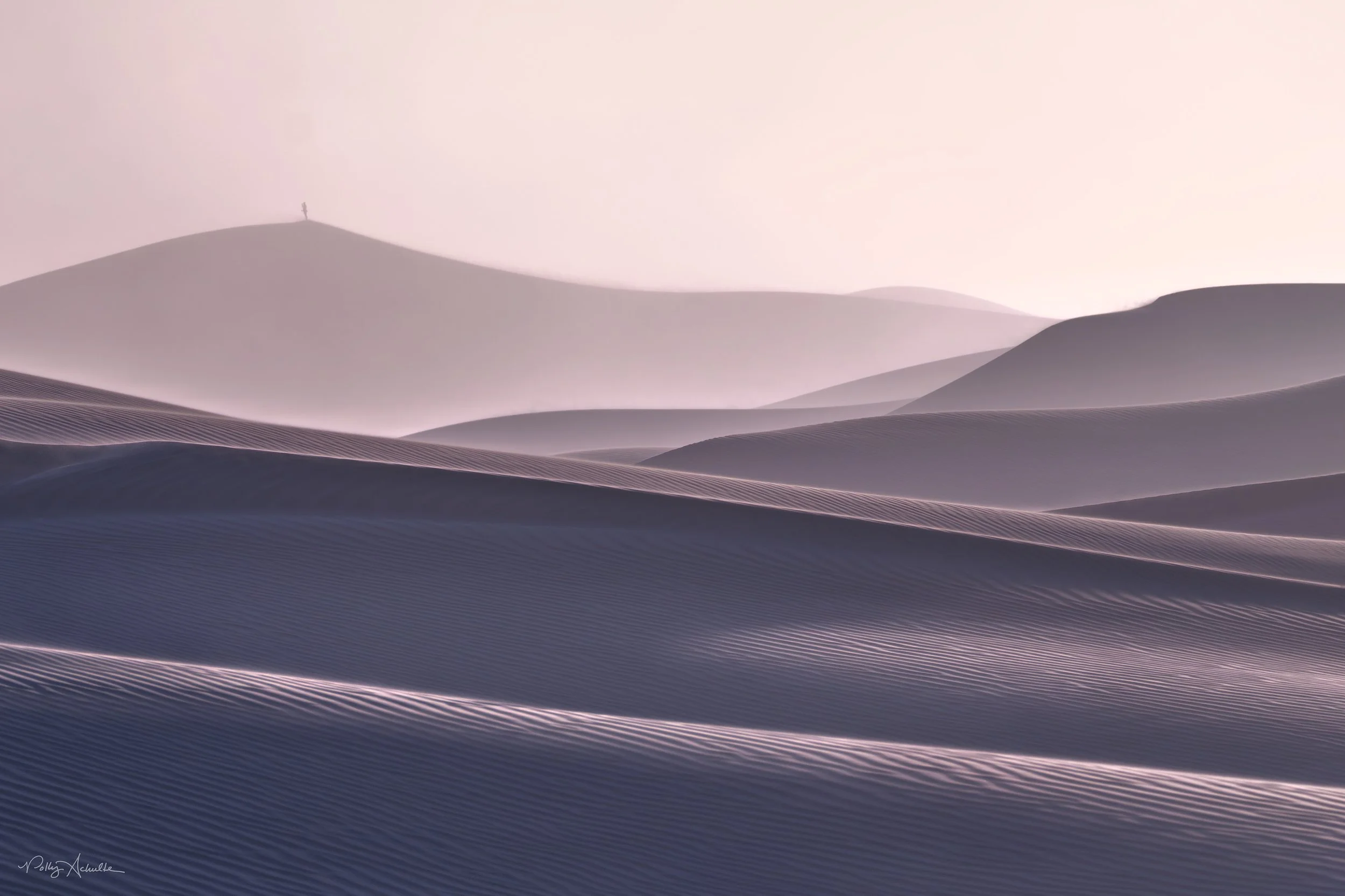 Mesquite Dunes Death Valley National Park, CA (2025)