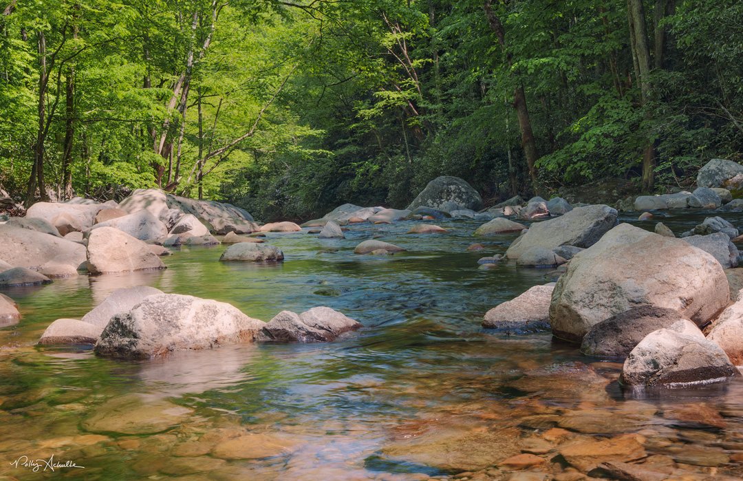 big_creek_opp_view-WEB.jpg