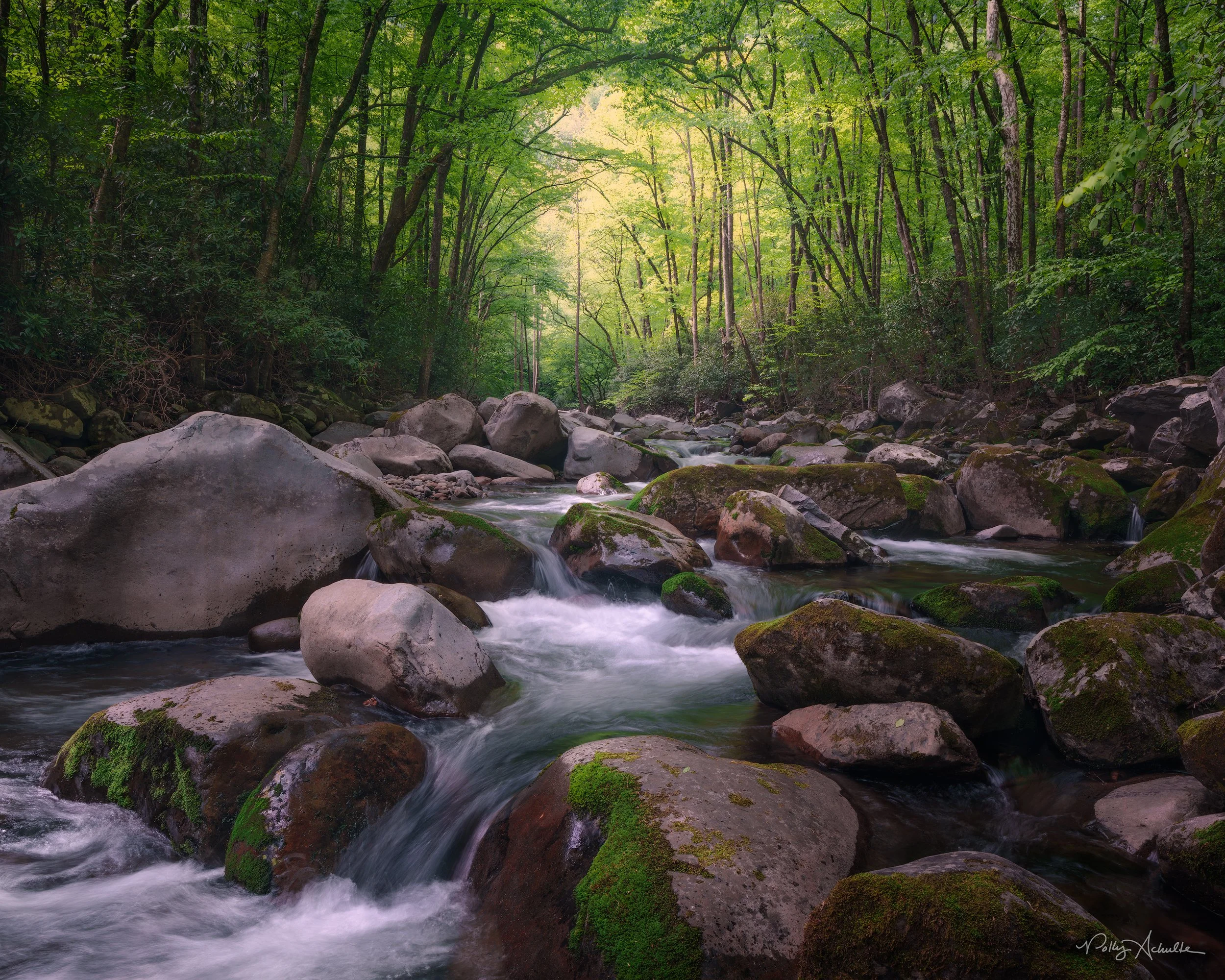 Big Creek Smoky Mountain National Park (2026)