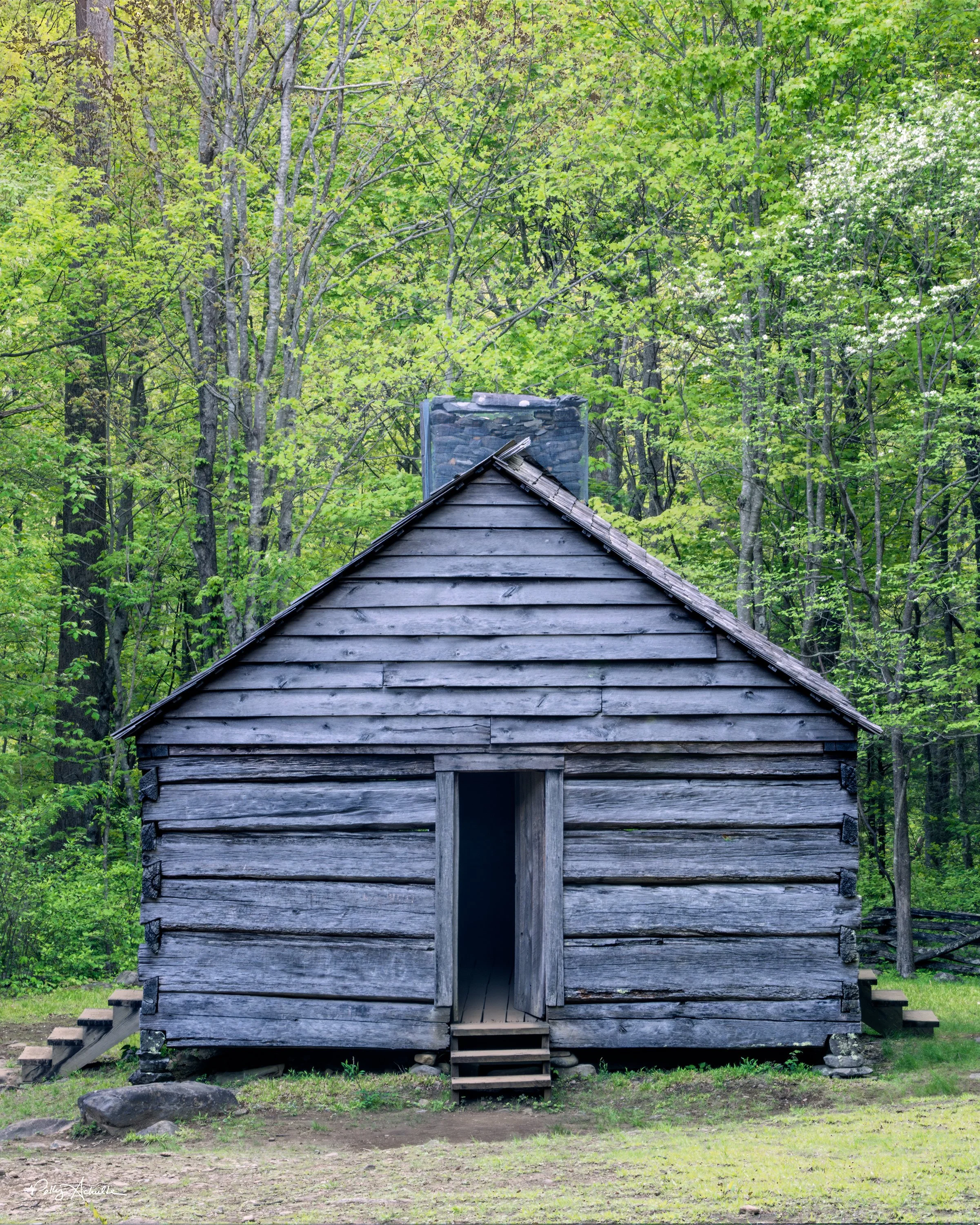Roaring Fork Smoky Mountain National Park (2025)