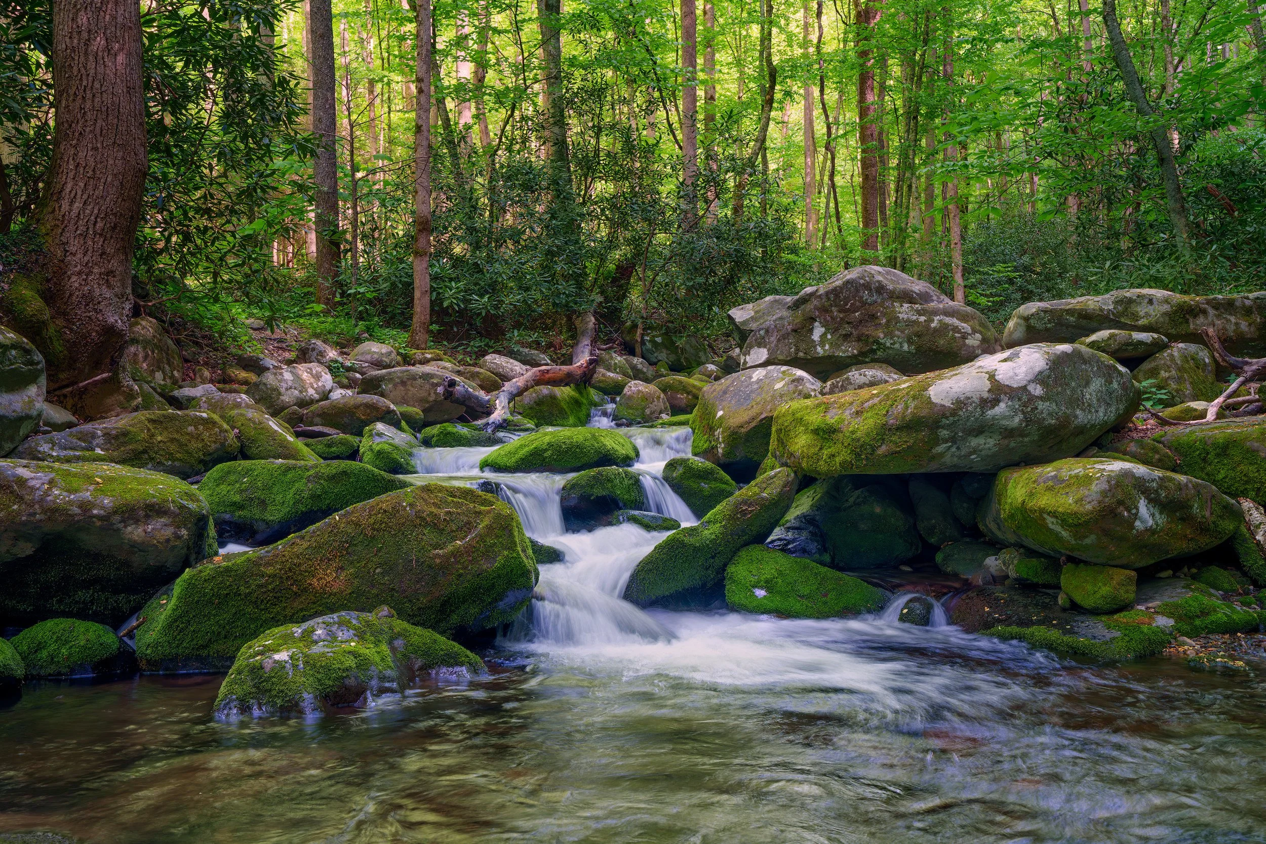 roaring_fork_wide-WEB.jpg