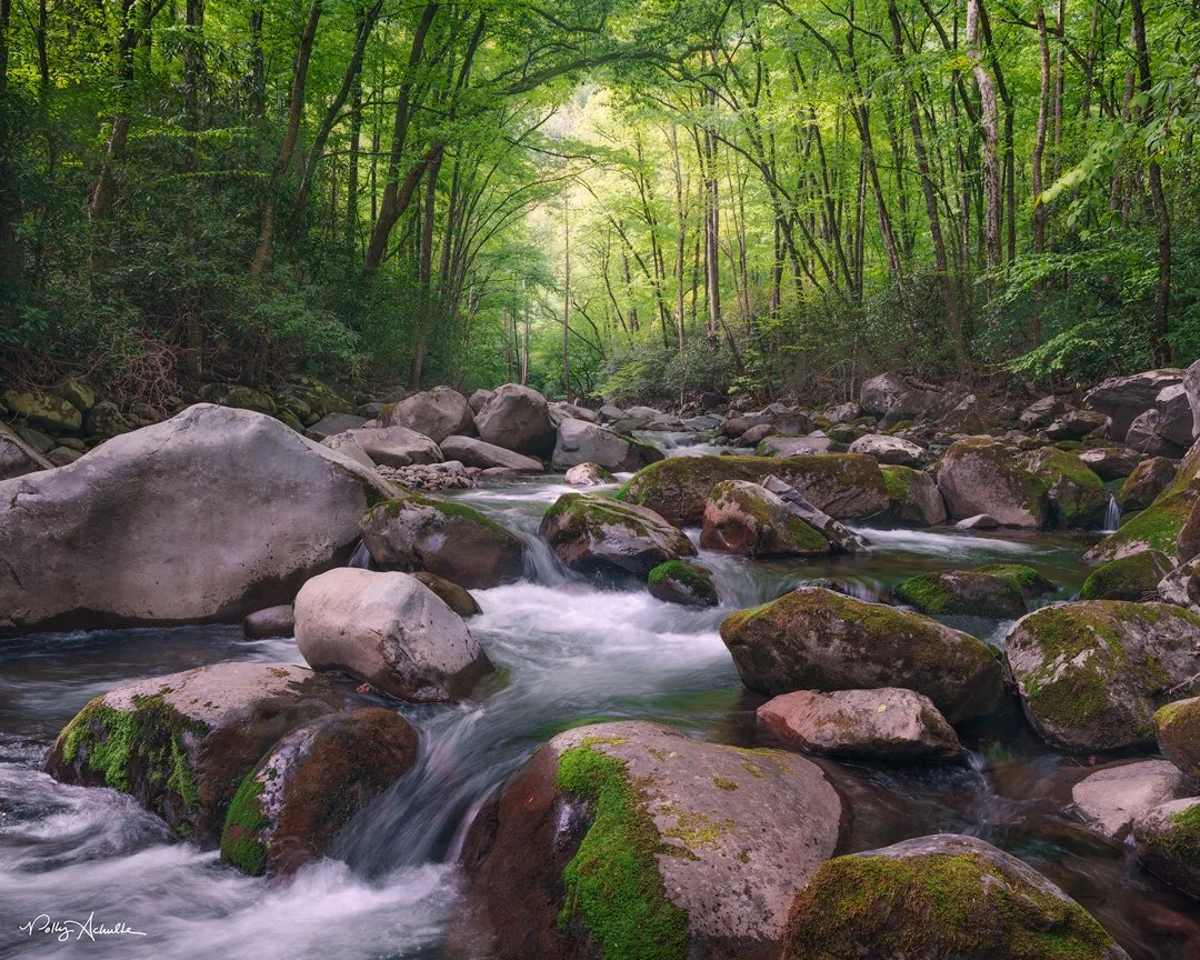 big_creek_cathedral-WEB.jpg