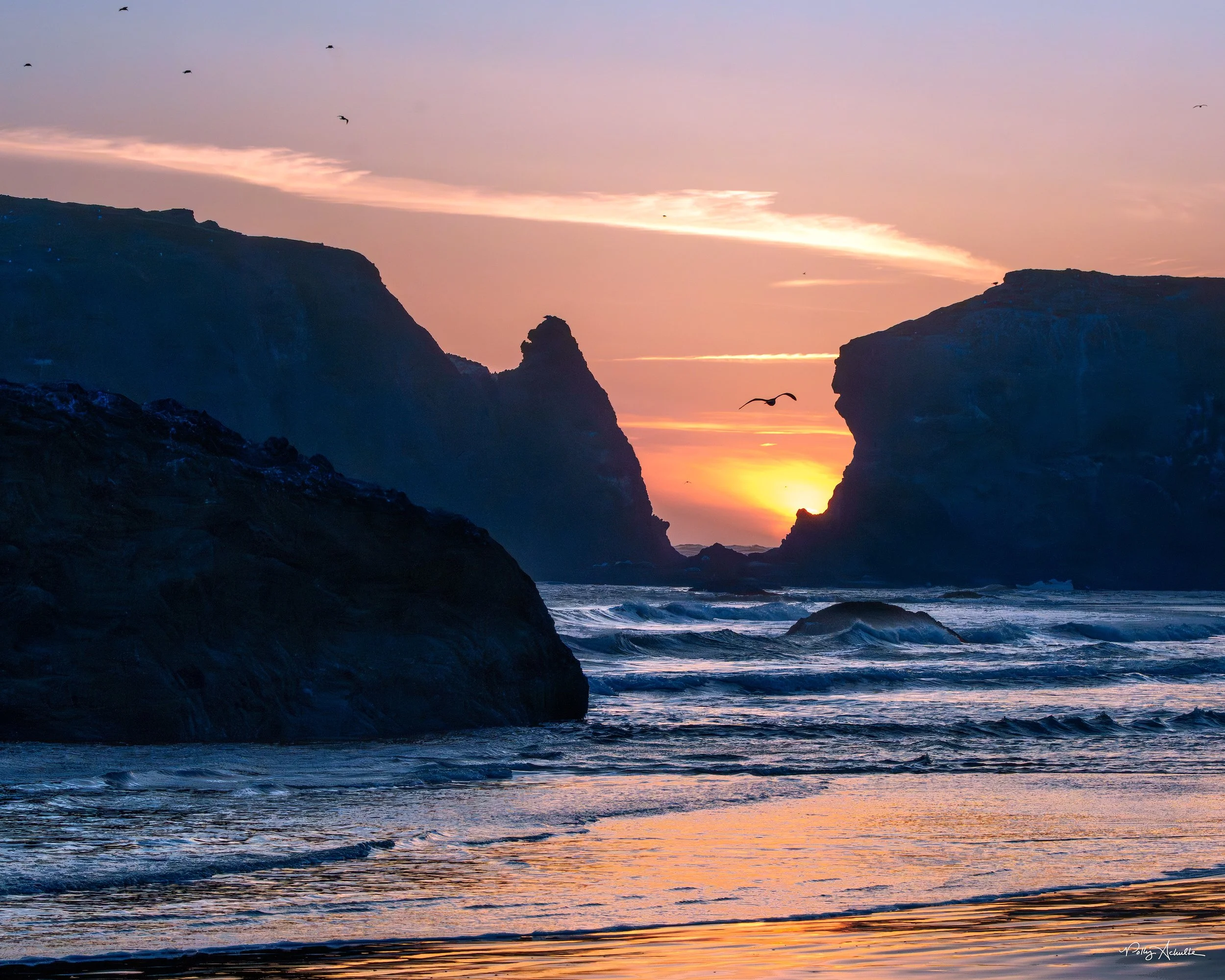 bandon_windy_sunset_bird-WEB.jpg