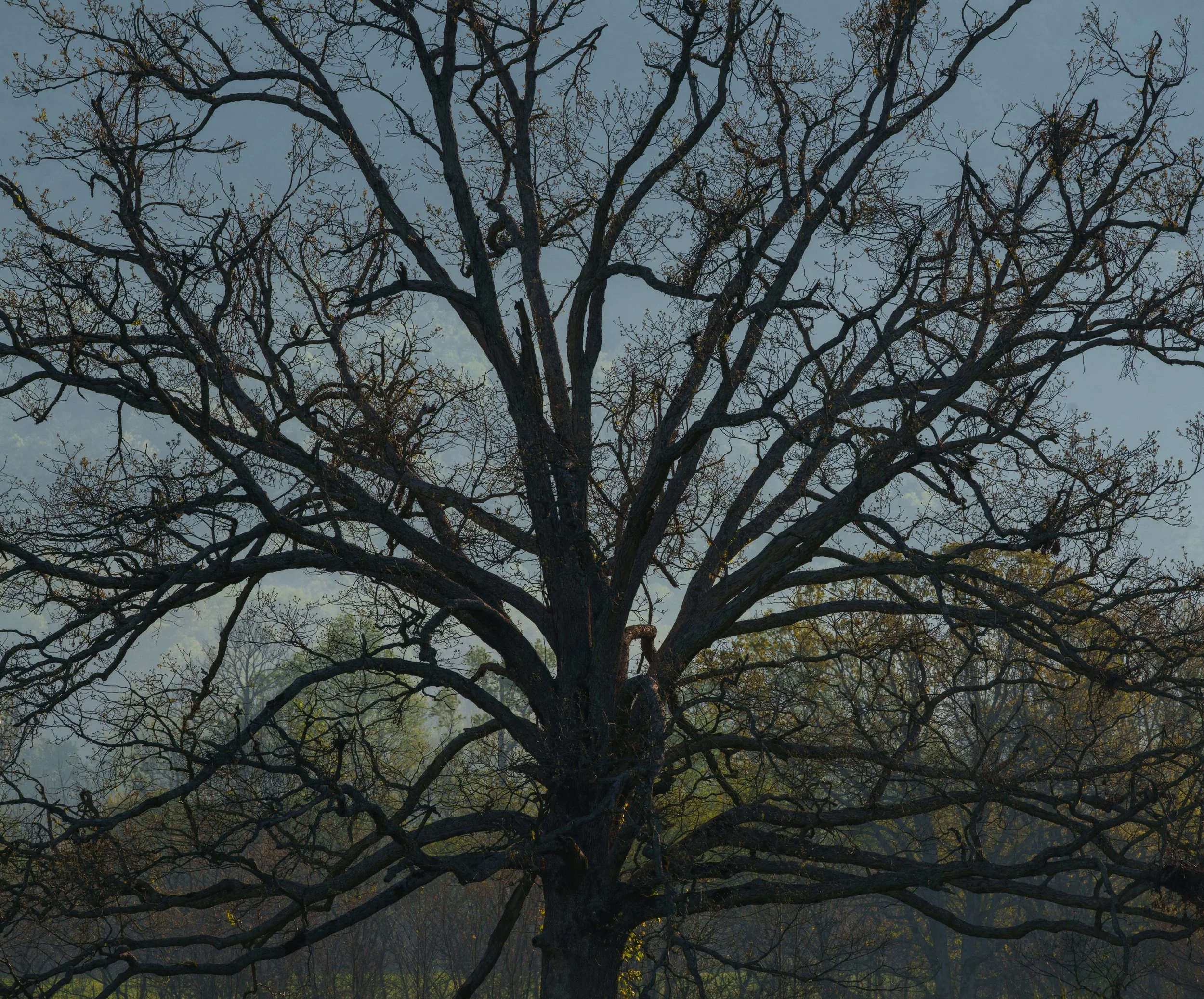 DSC07061-Edit.jpg
