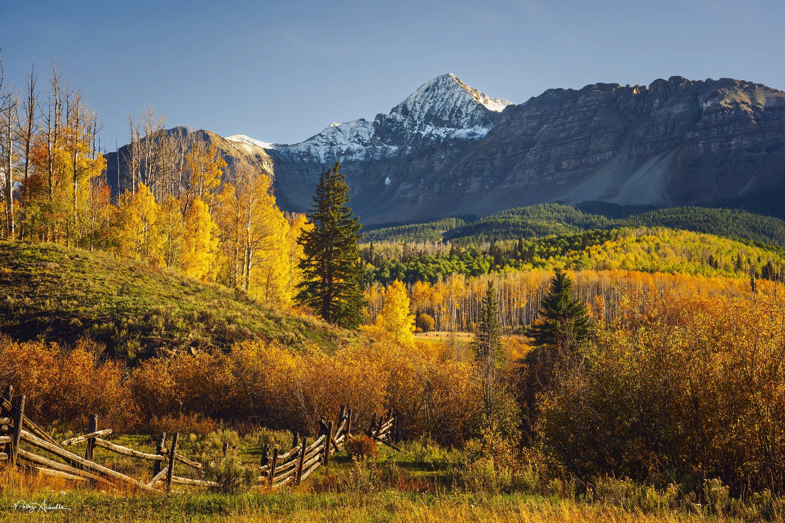 wilson_peak_fence-WEB.jpg