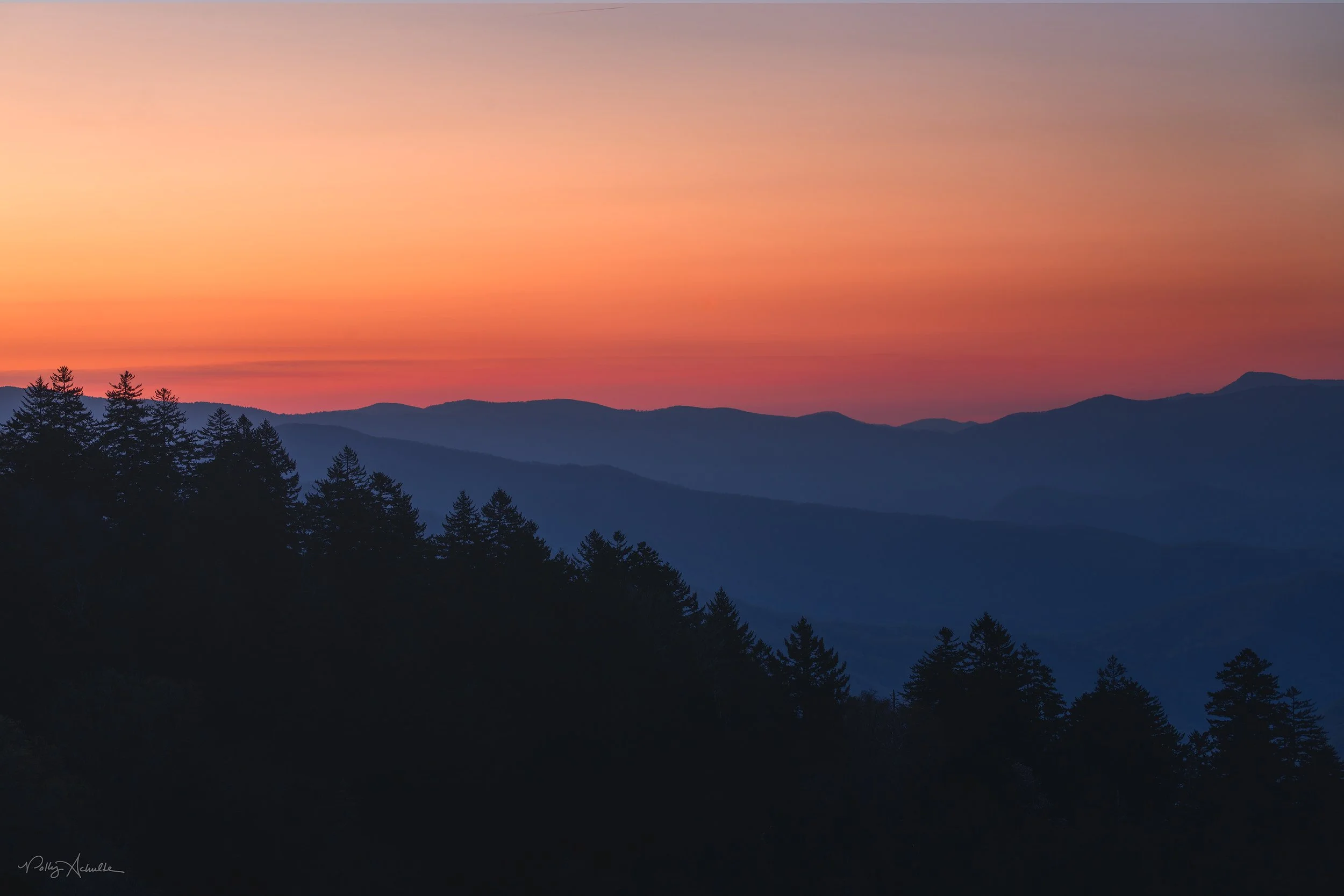 Clingmans Dome Smoky Mountain National Park (2025)