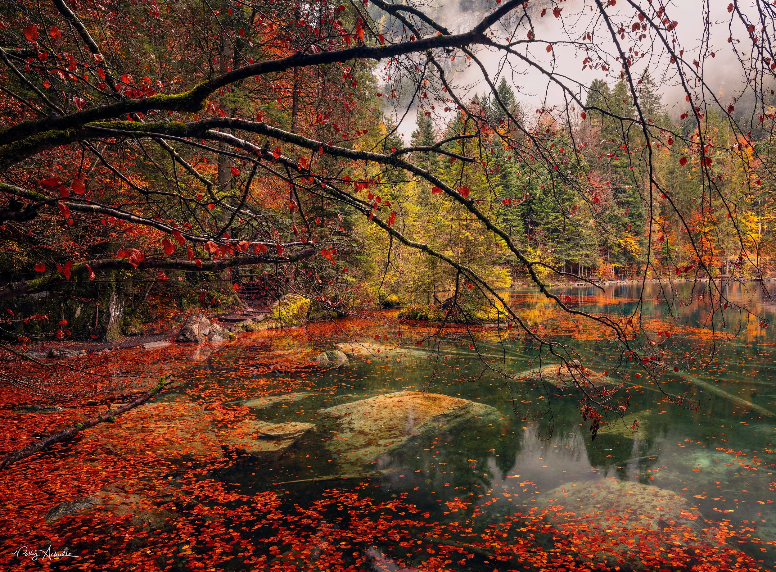 Lake Blausee Kandergrund, Switzerland (2025)