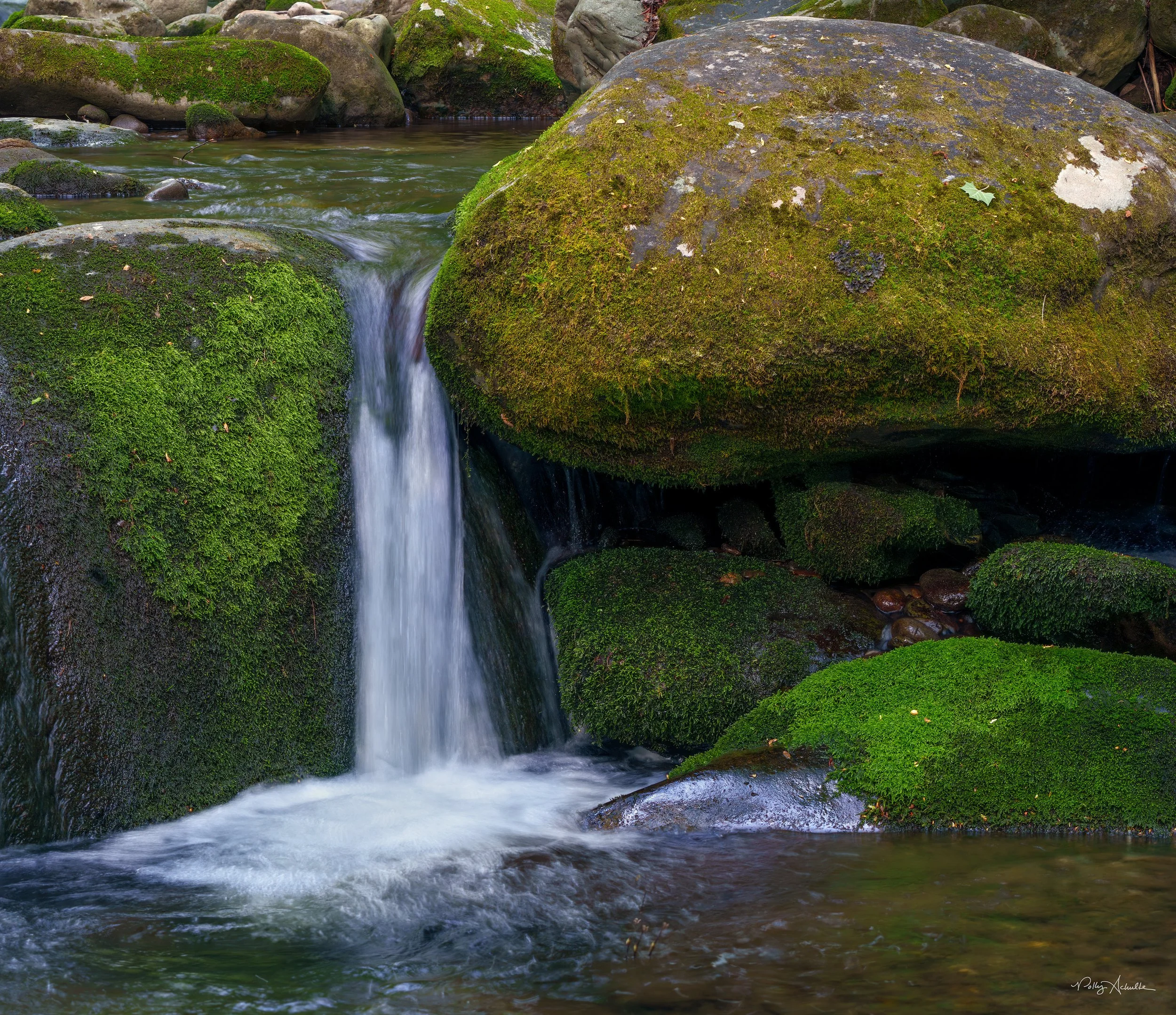 Roaring Fork Smoky Mountain National Park (2026)