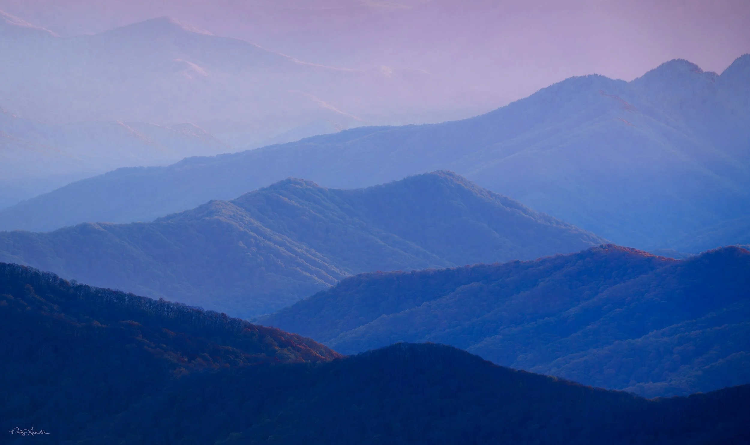 Clingman's Dome Smoky Mountain National Park (2026)