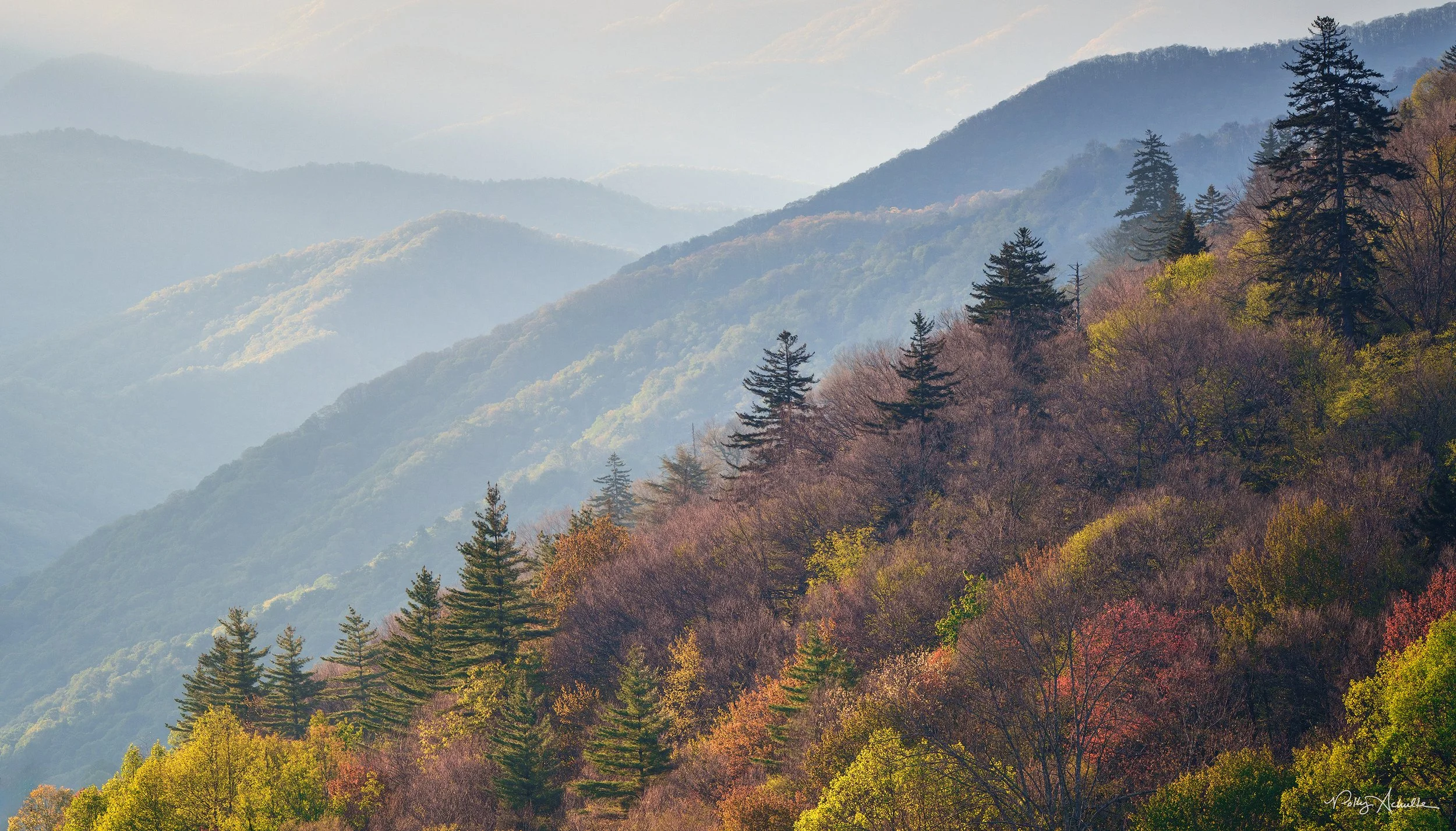 Newfound Gap Smoky Mountain National Park (2026)